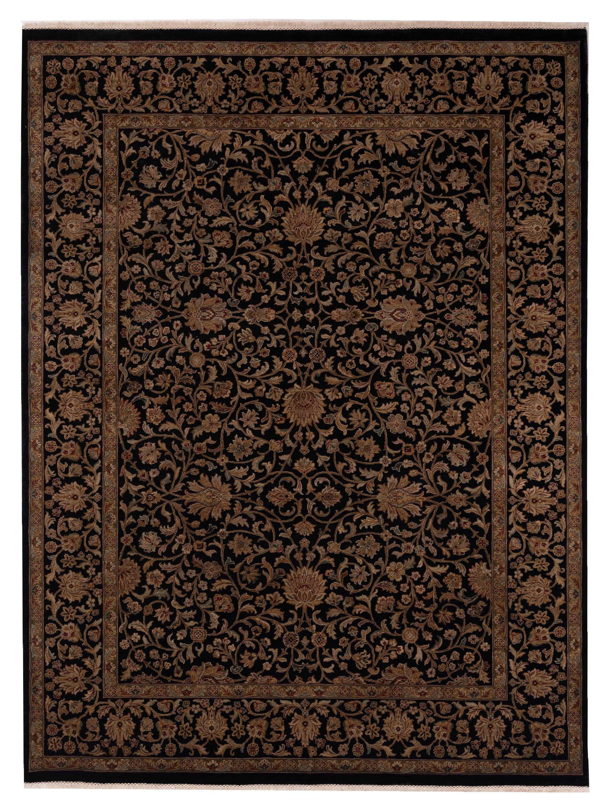 Rajpur Jahan  Black Black Traditional