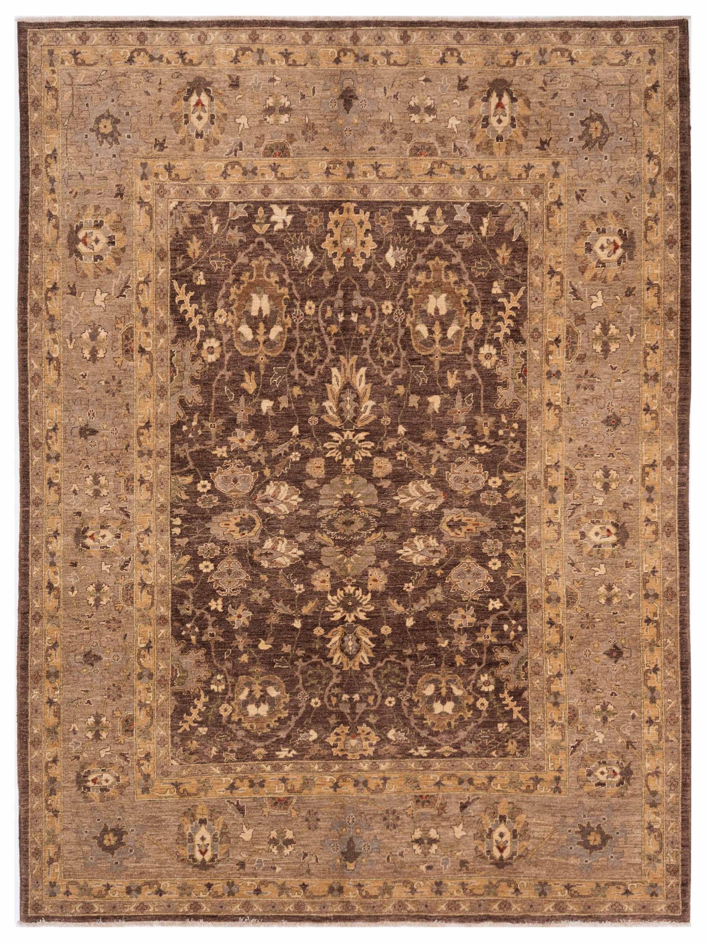 Pasha Sultan  Brown Gray Traditional