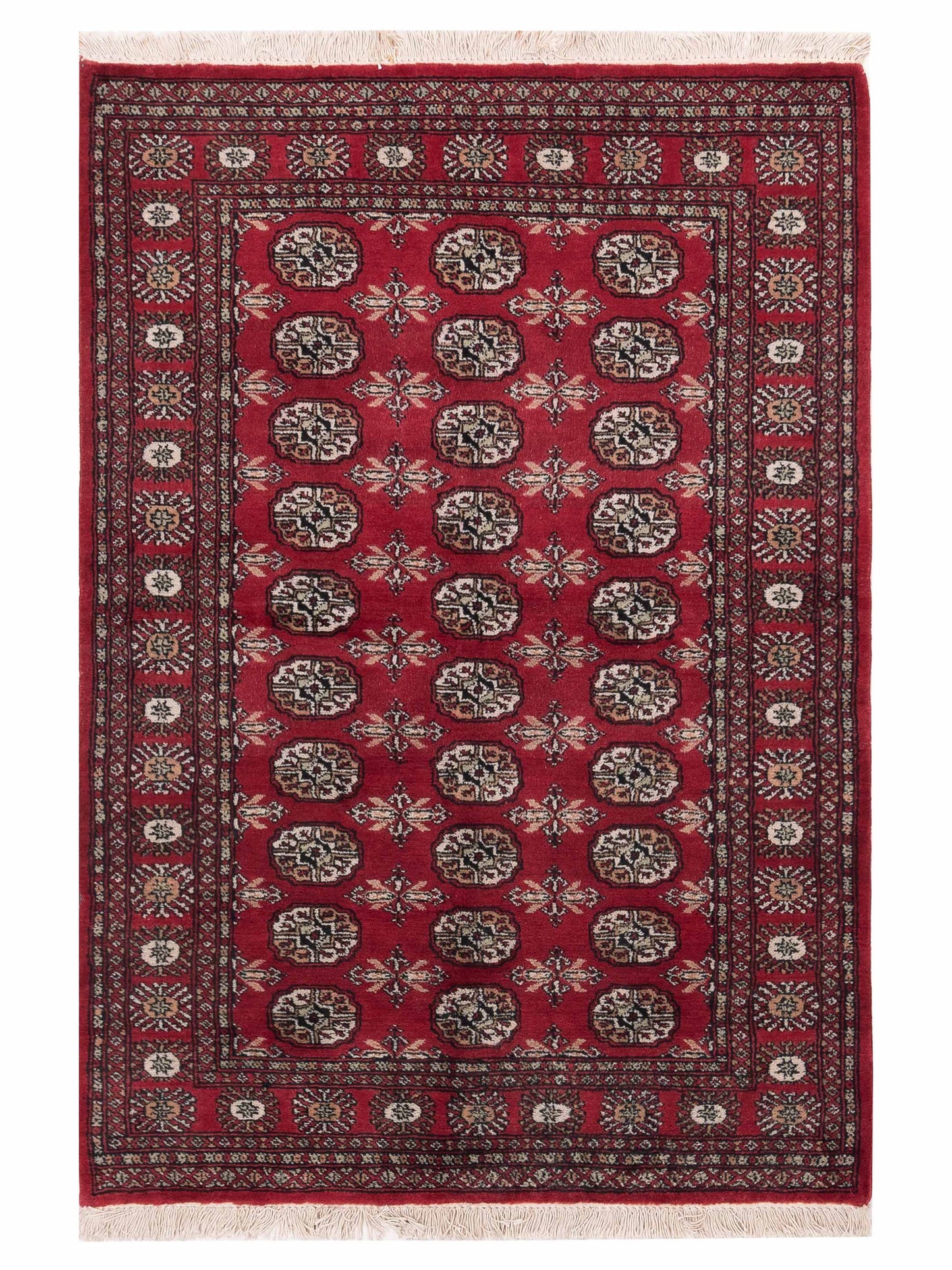 Nomad Bokhara  Red Red Traditional