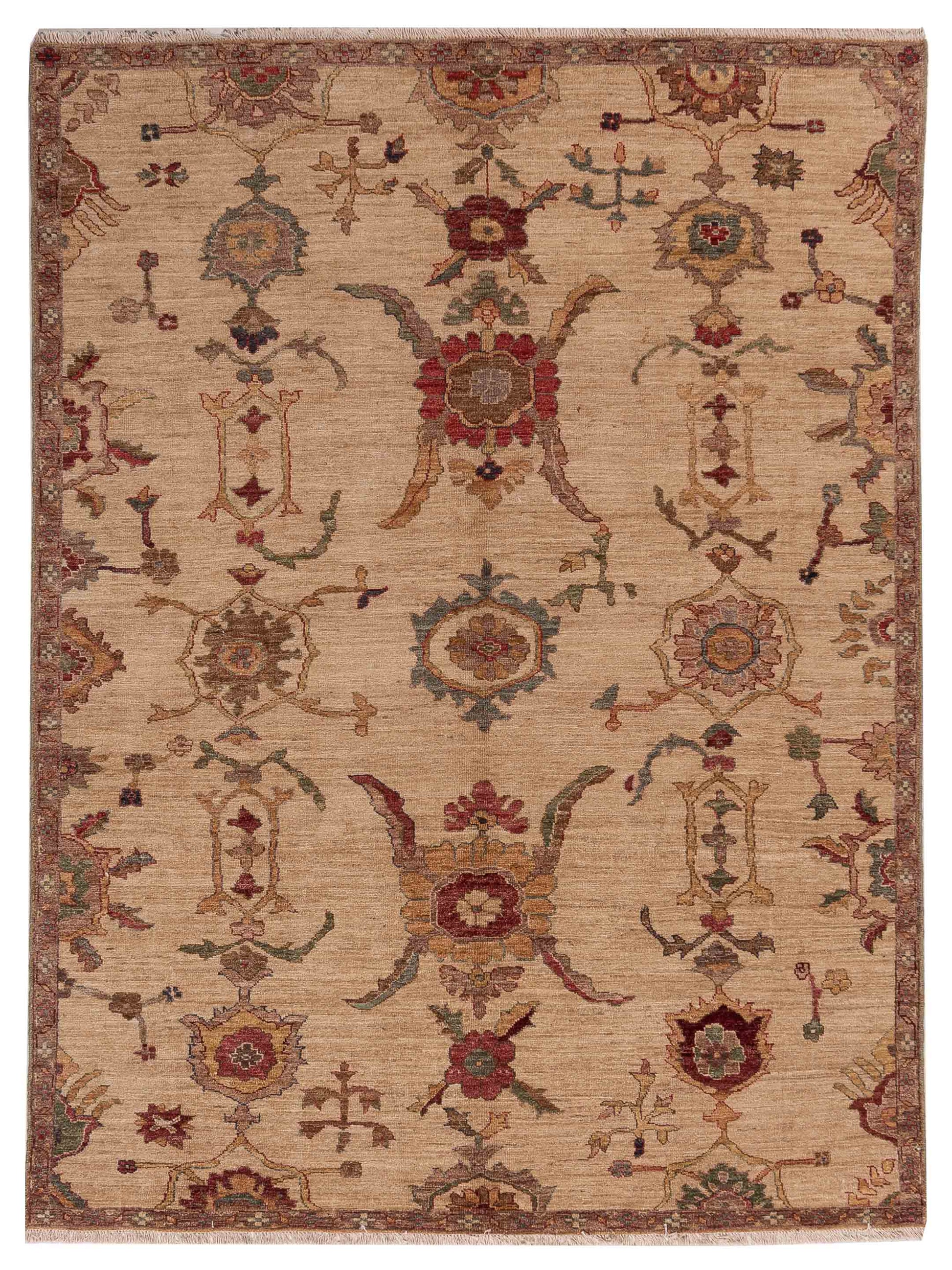 Pasha Elvan  Ivory Ivory Transitional