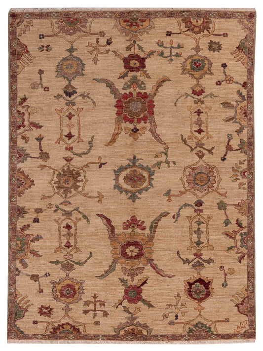 Pasha Elvan  Ivory Ivory Transitional