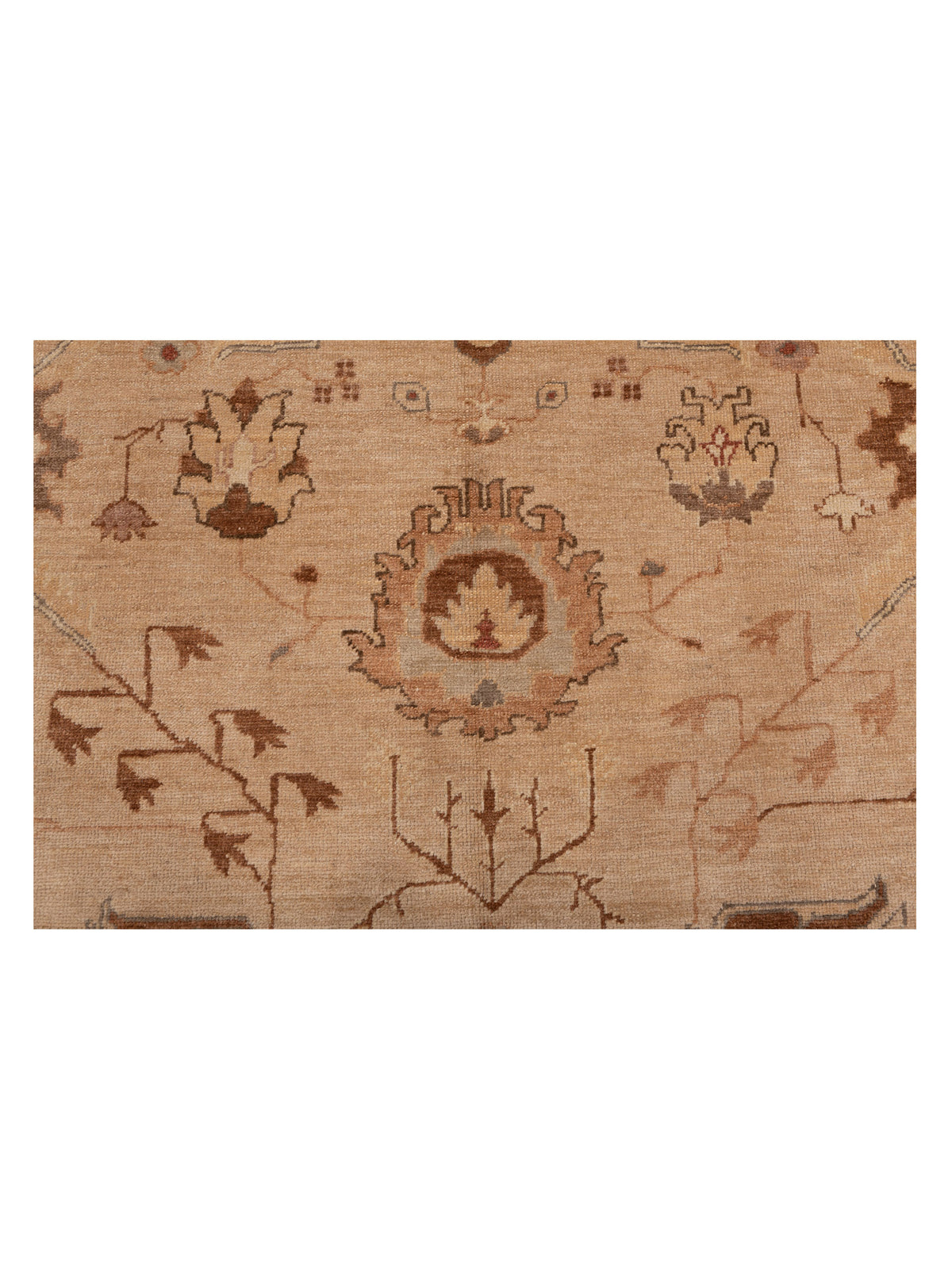 Angora Oushak 108101 Ivory Gold 9.9x13.8 Hand Knotted Rug