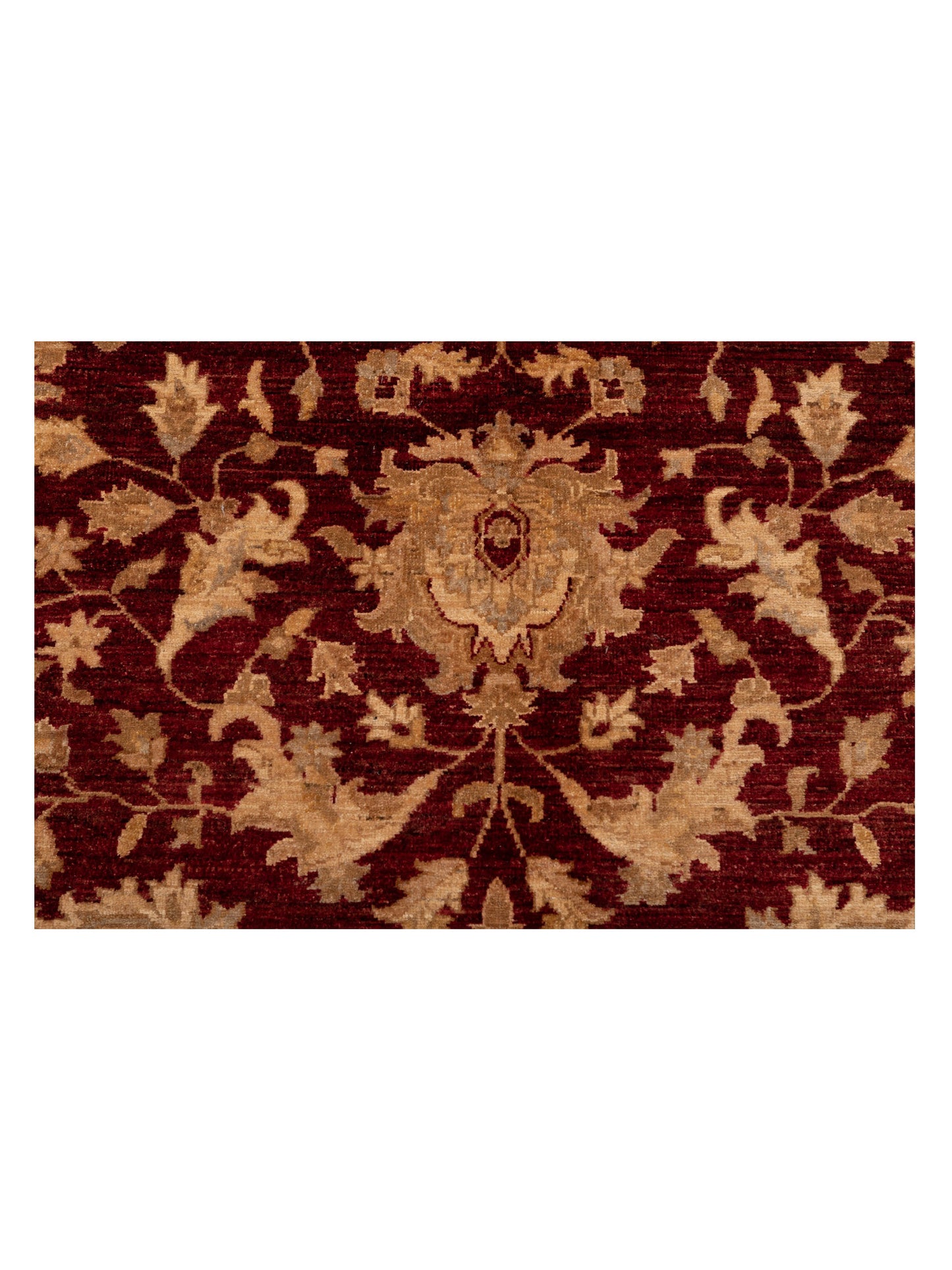 Sultan 112765 Red Ivory 8x10.1 Hand Knotted Rug