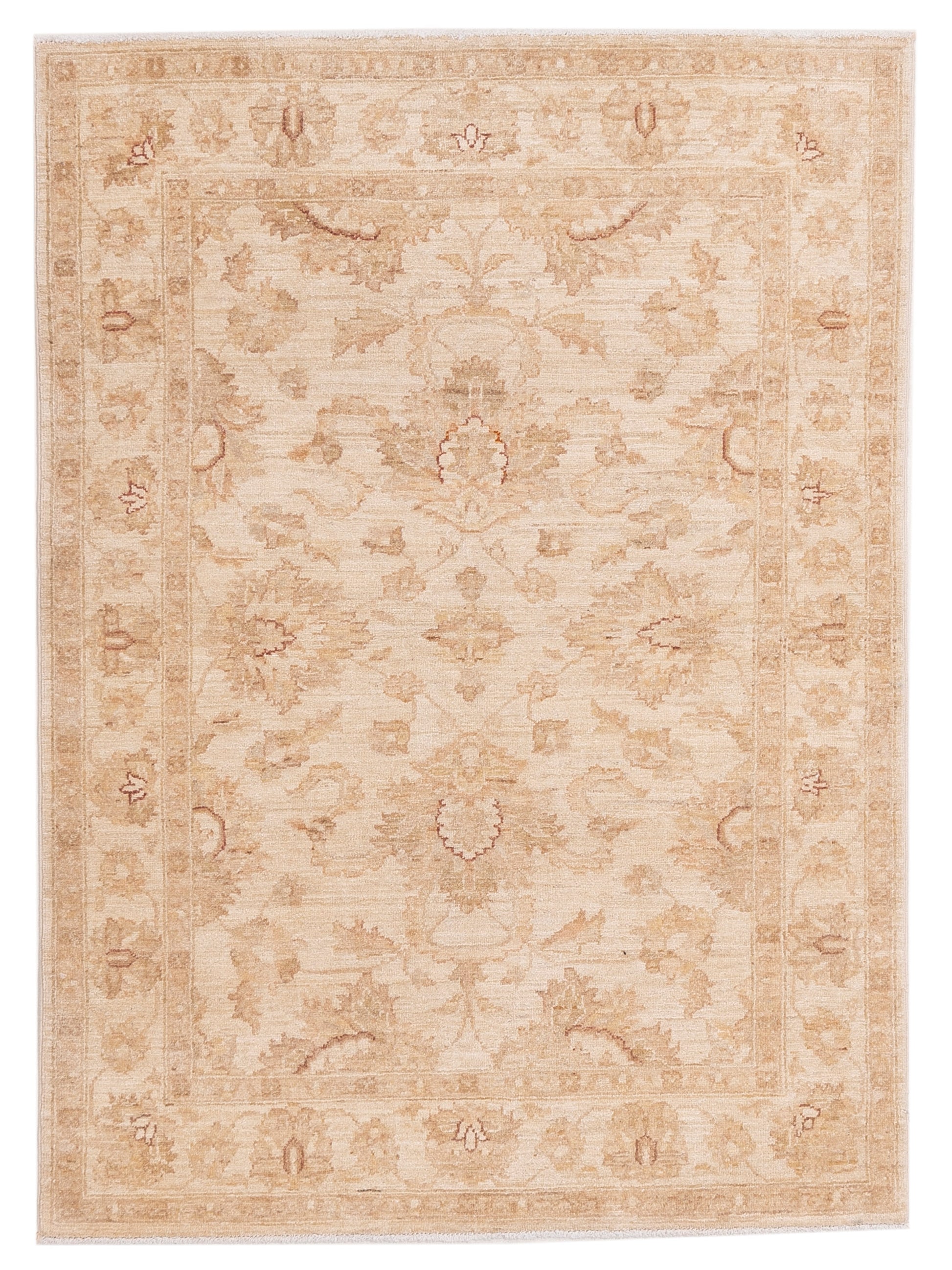 Pasha Sultan  Ivory Ivory Traditional