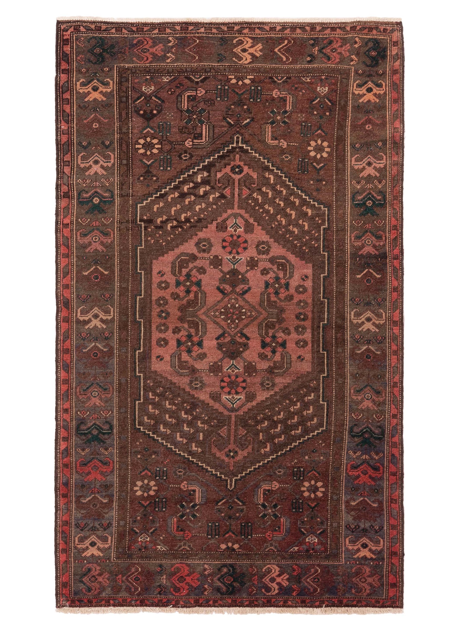 Pasha Persian  Brown Brown Traditional