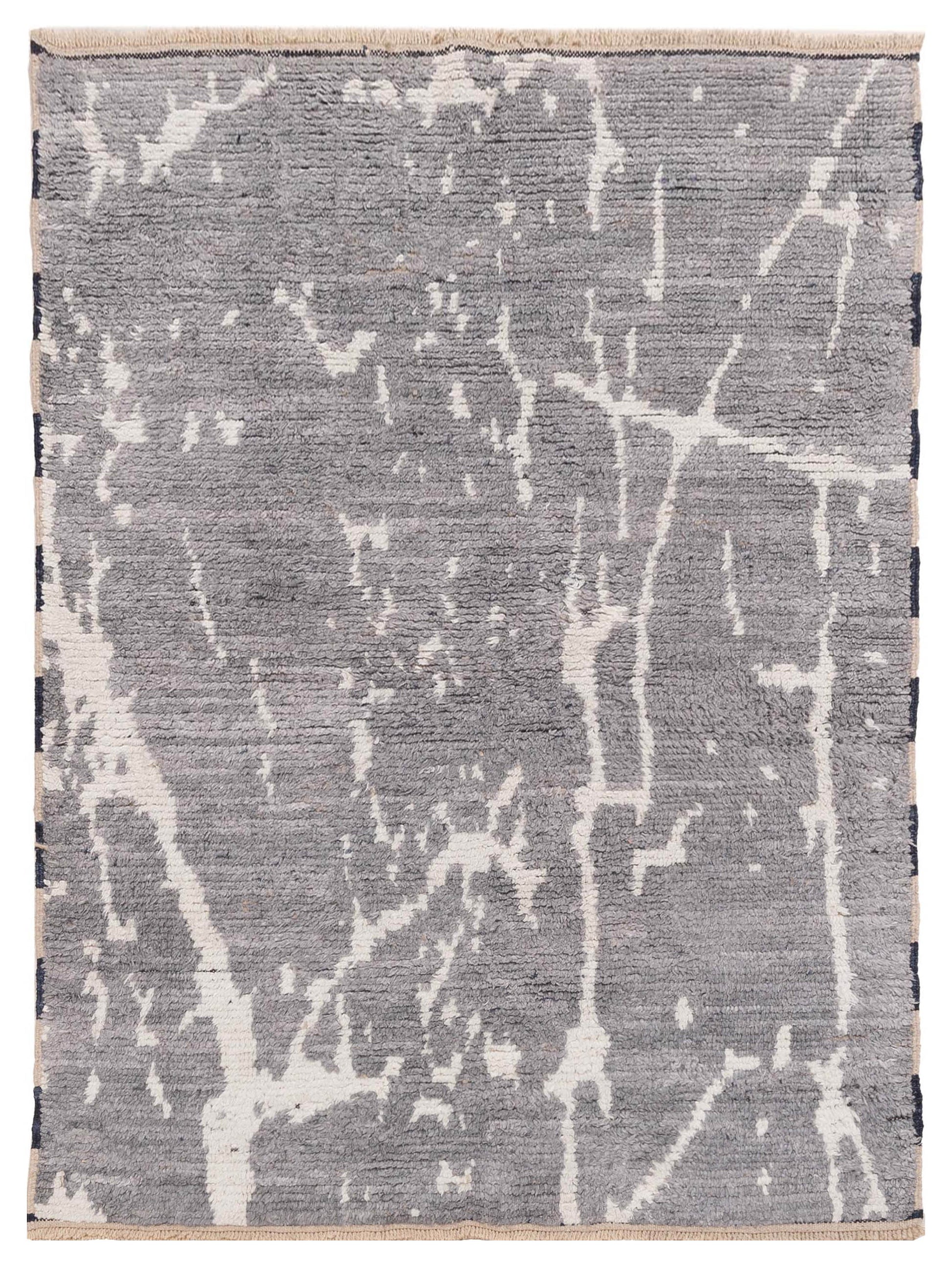 Pasha Atlas  Gray Ivory Contemporary