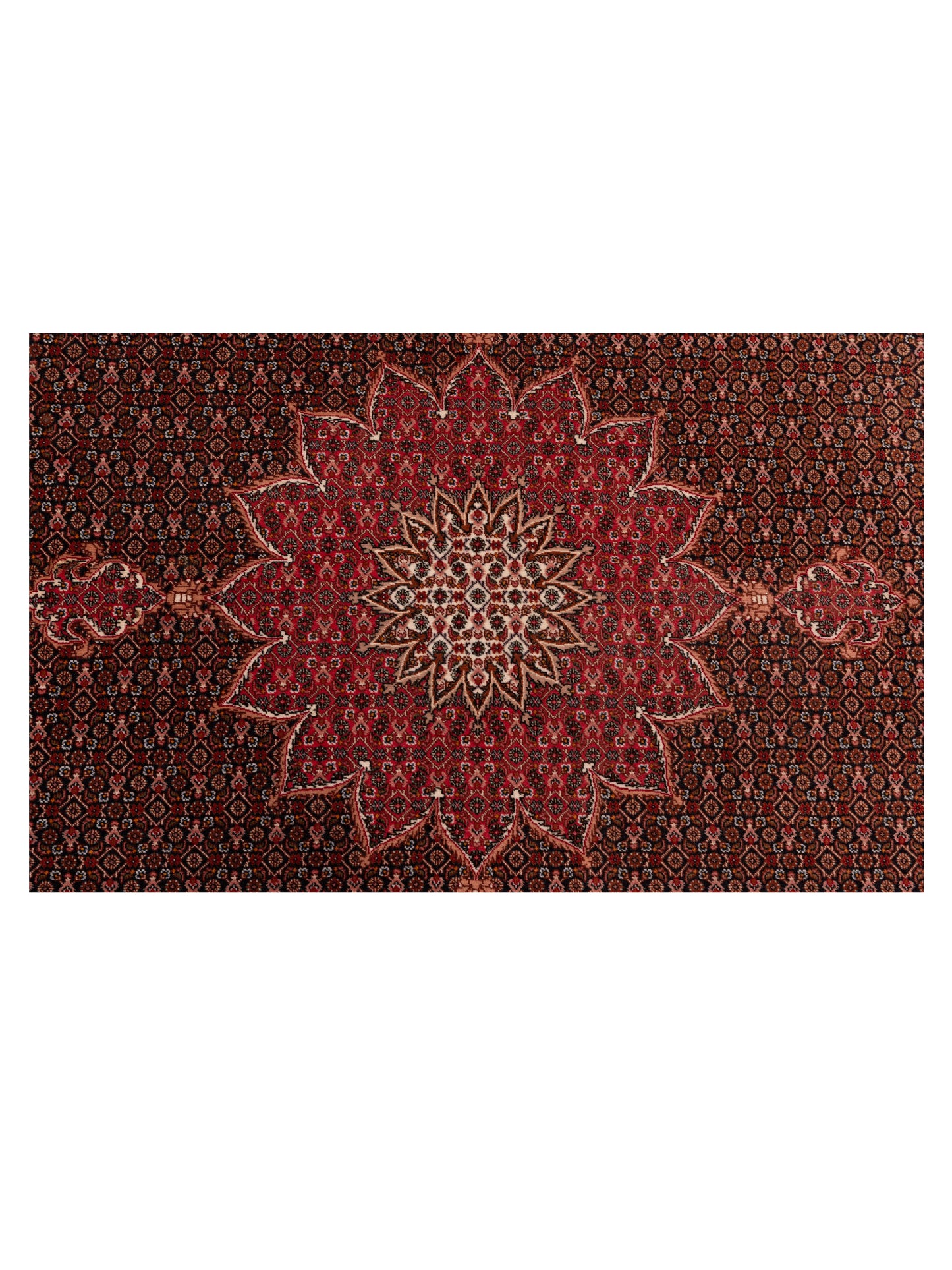 Mastersilk 118718 Black Pink 6.8x6.8 Hand Knotted Rug