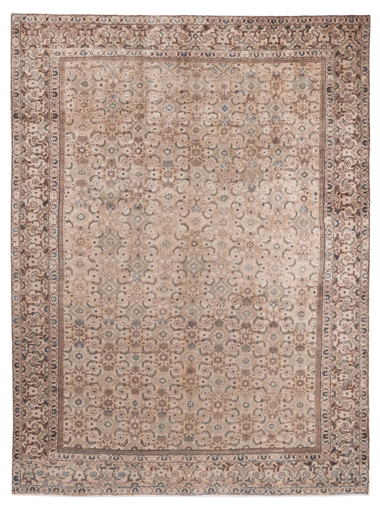 Pasha Persian  Brown Brown Traditional