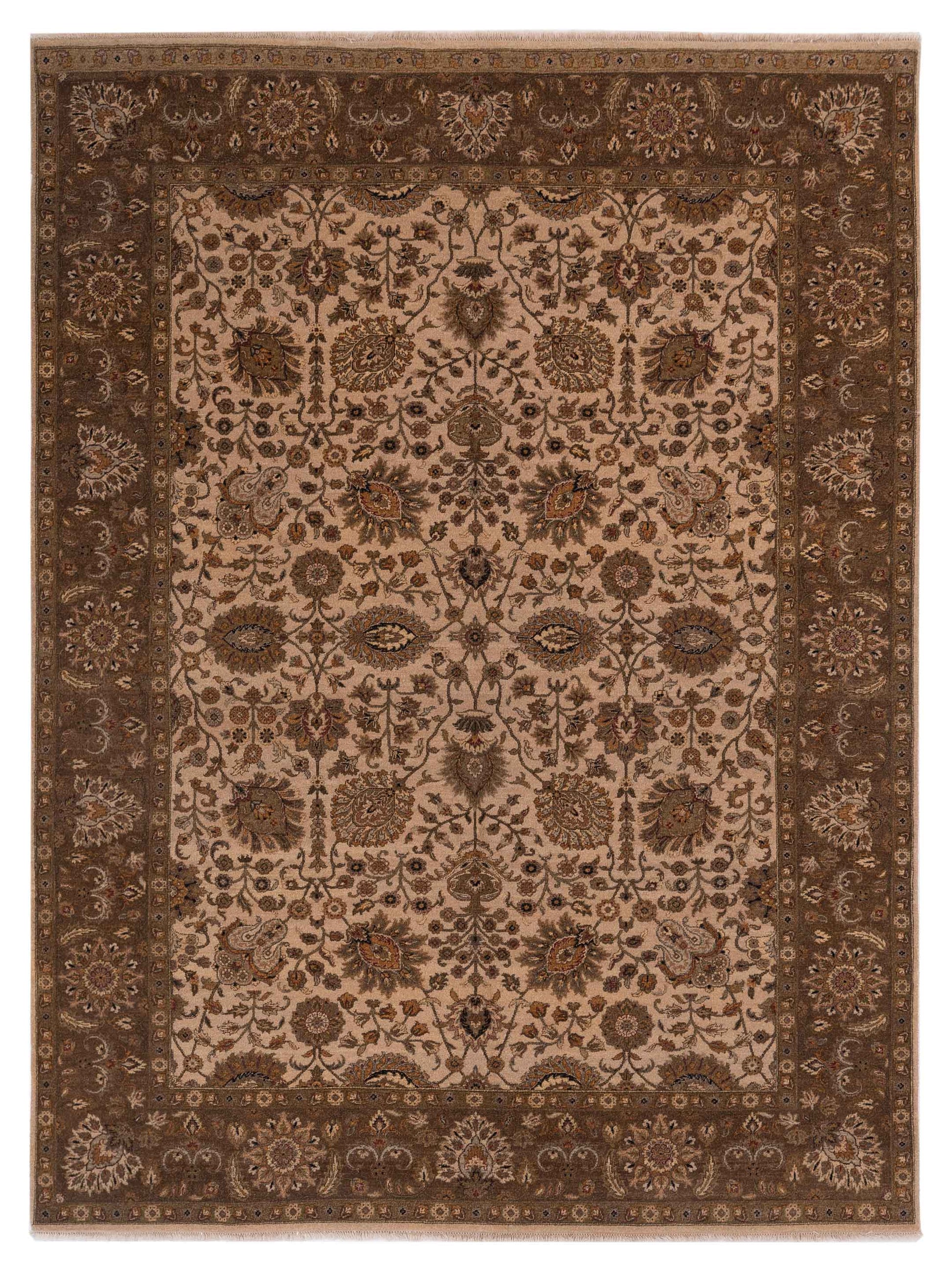 Rajpur Haji Jalili  Ivory Brown Transitional