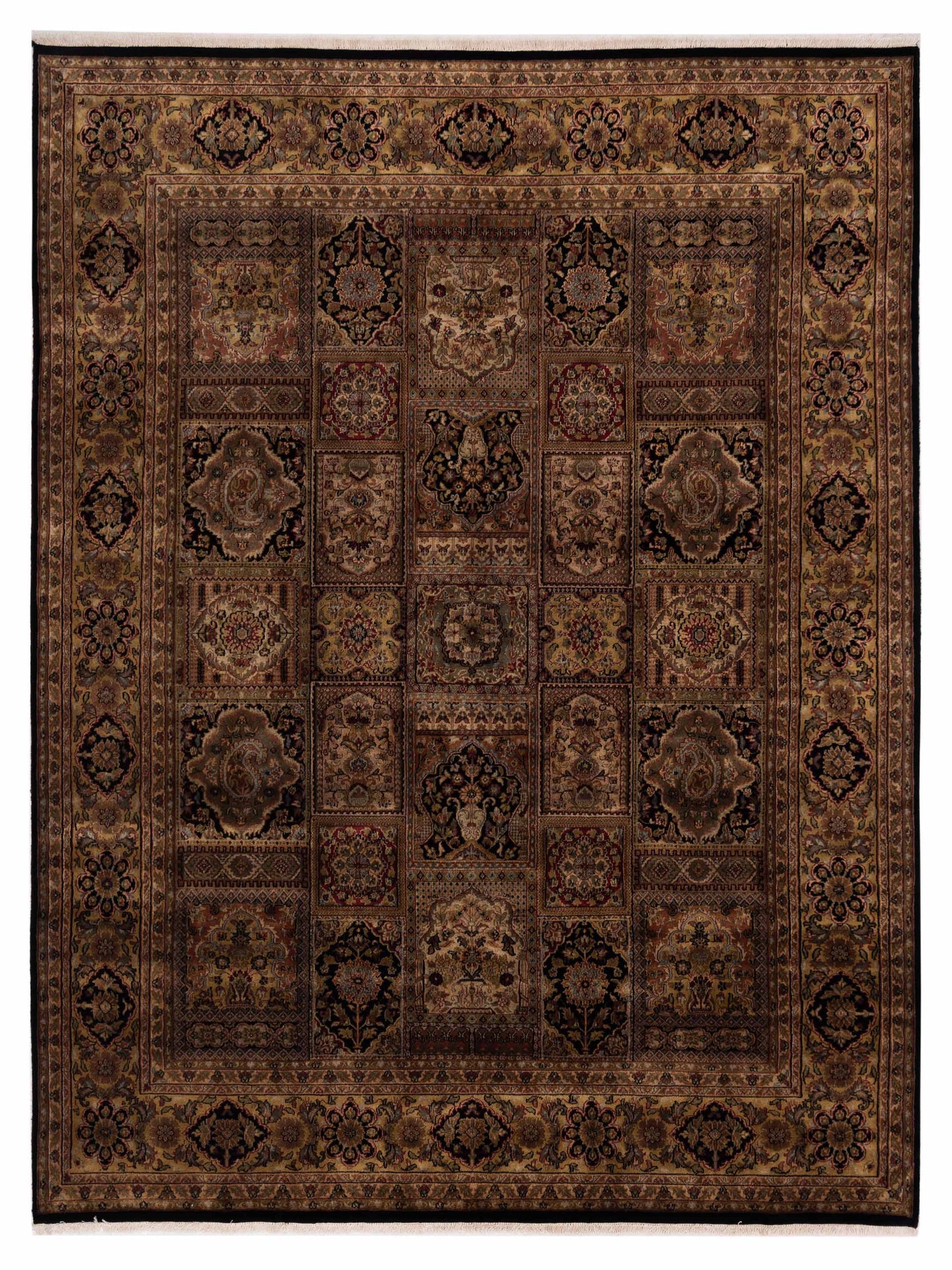 Rajpur Crown  Multi  Transitional