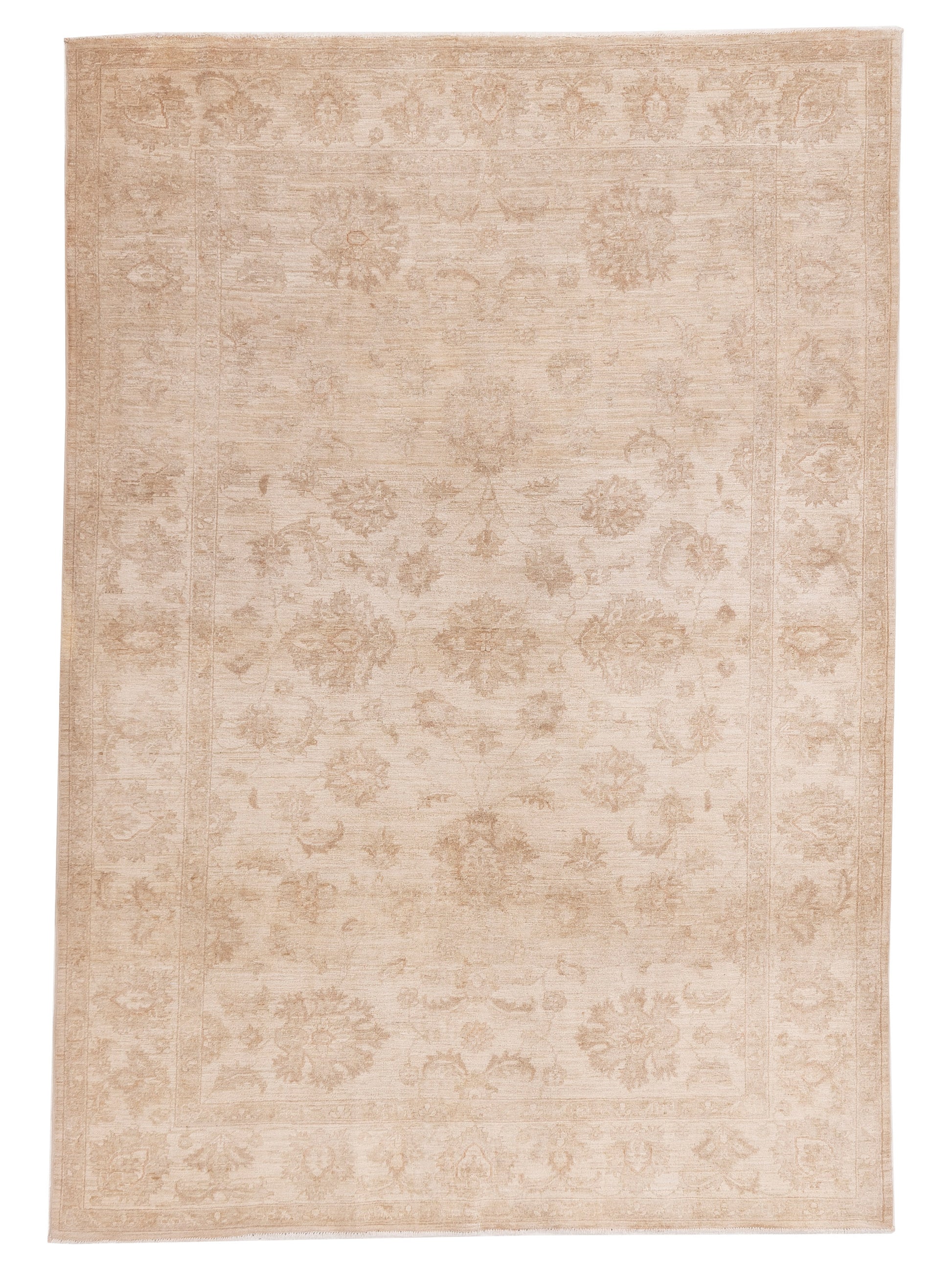 Pasha Sultan  Ivory  Traditional