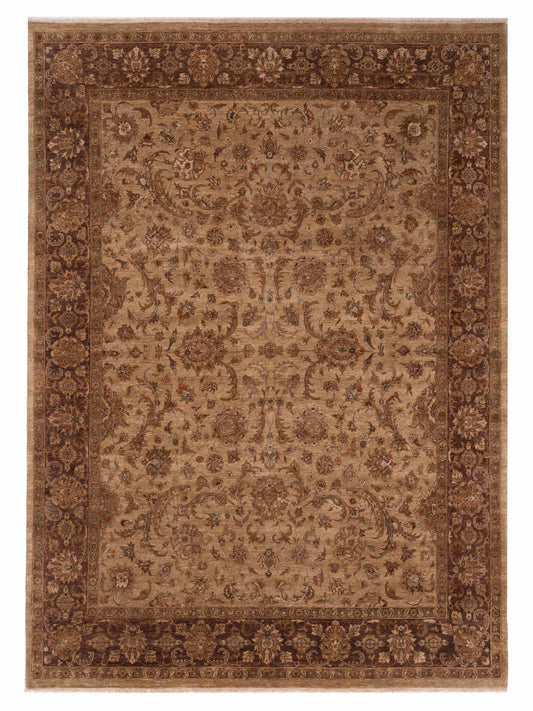 Rajpur Crown  Camel Brown Transitional