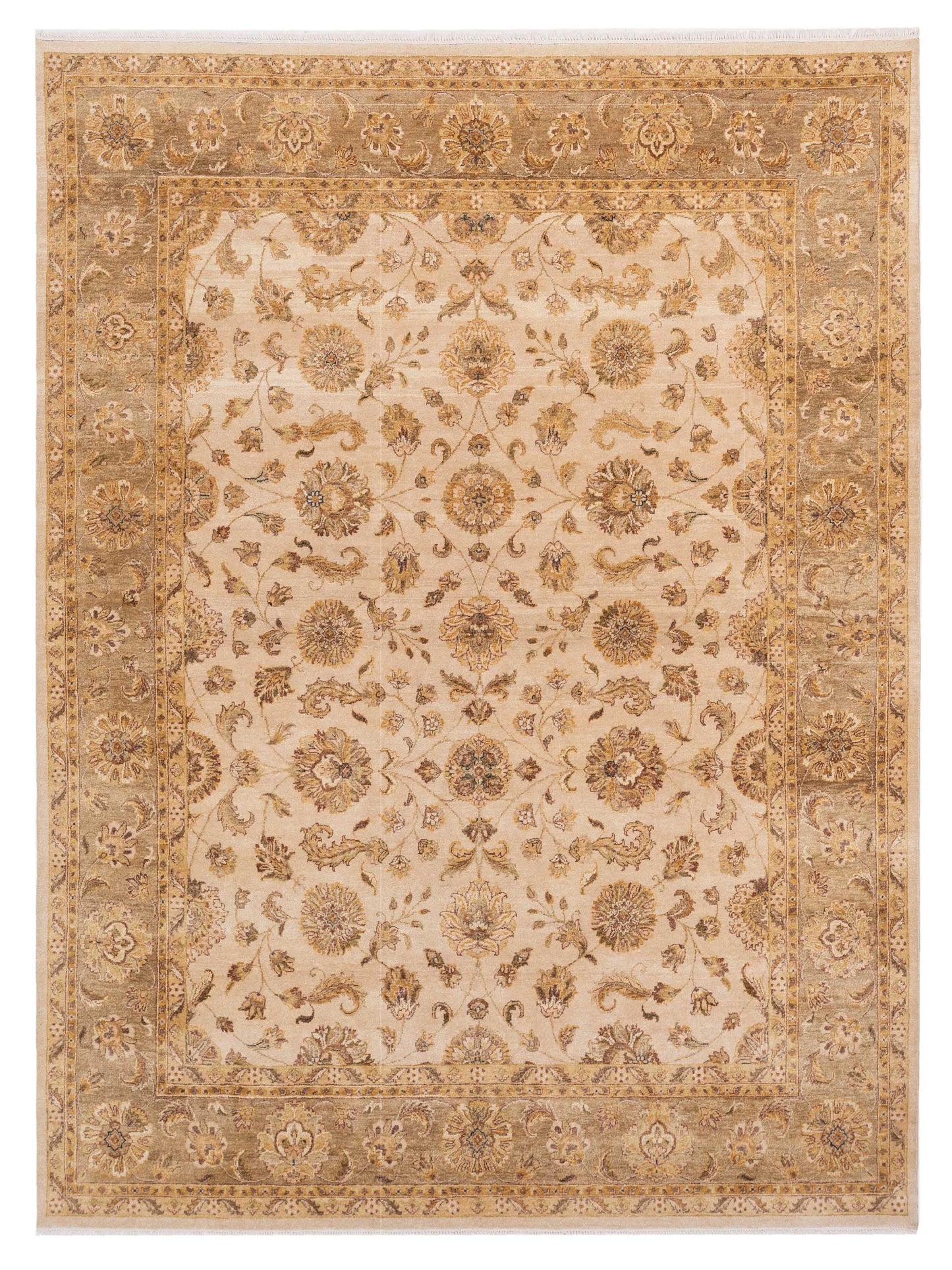 Rajpur Ghazani  Ivory Brown Transitional