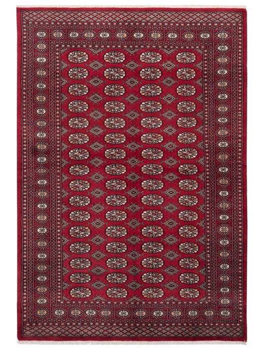 Nomad Bokhara  Red Red Traditional