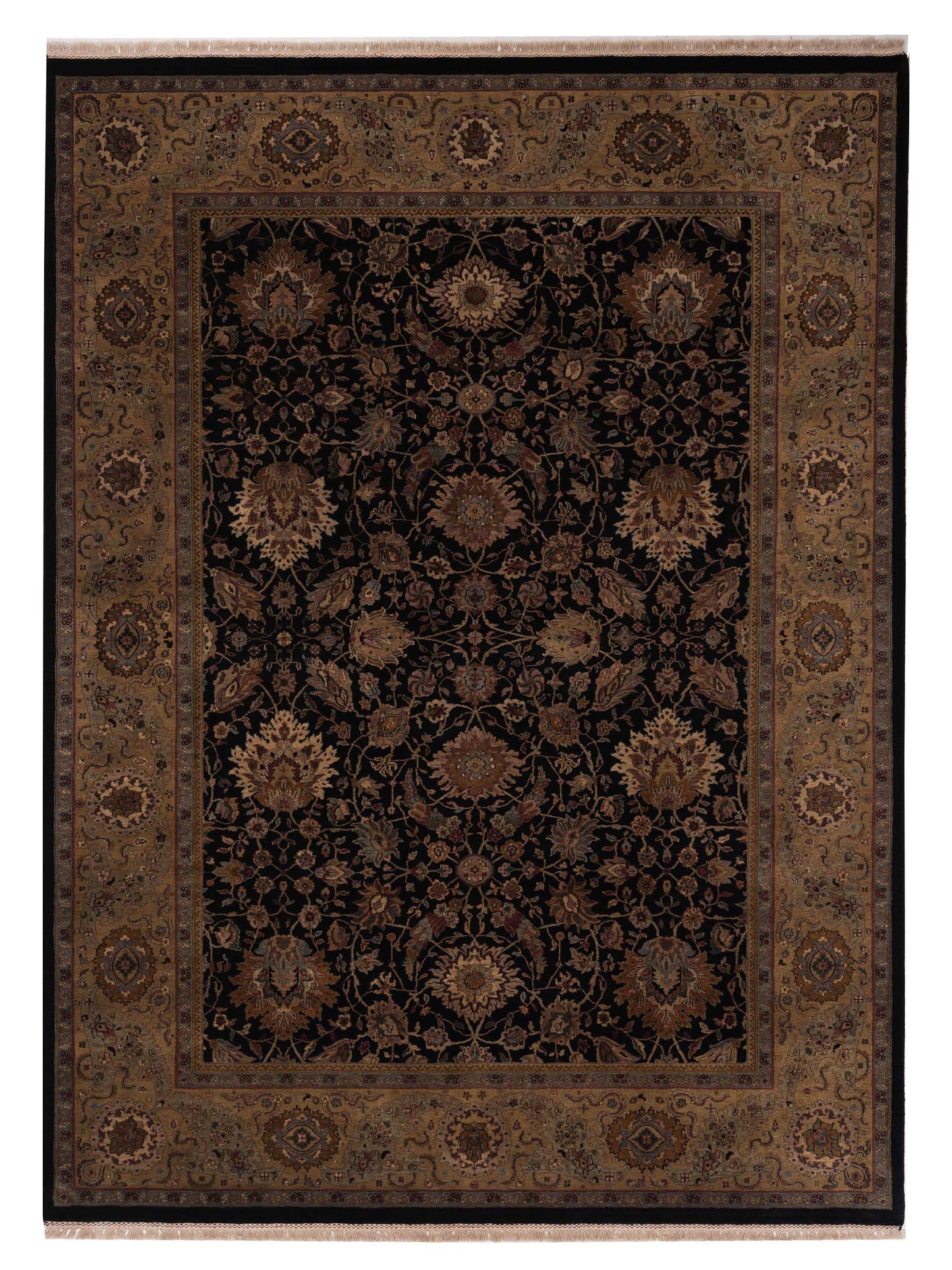 Rajpur Crown  Black Gold Transitional