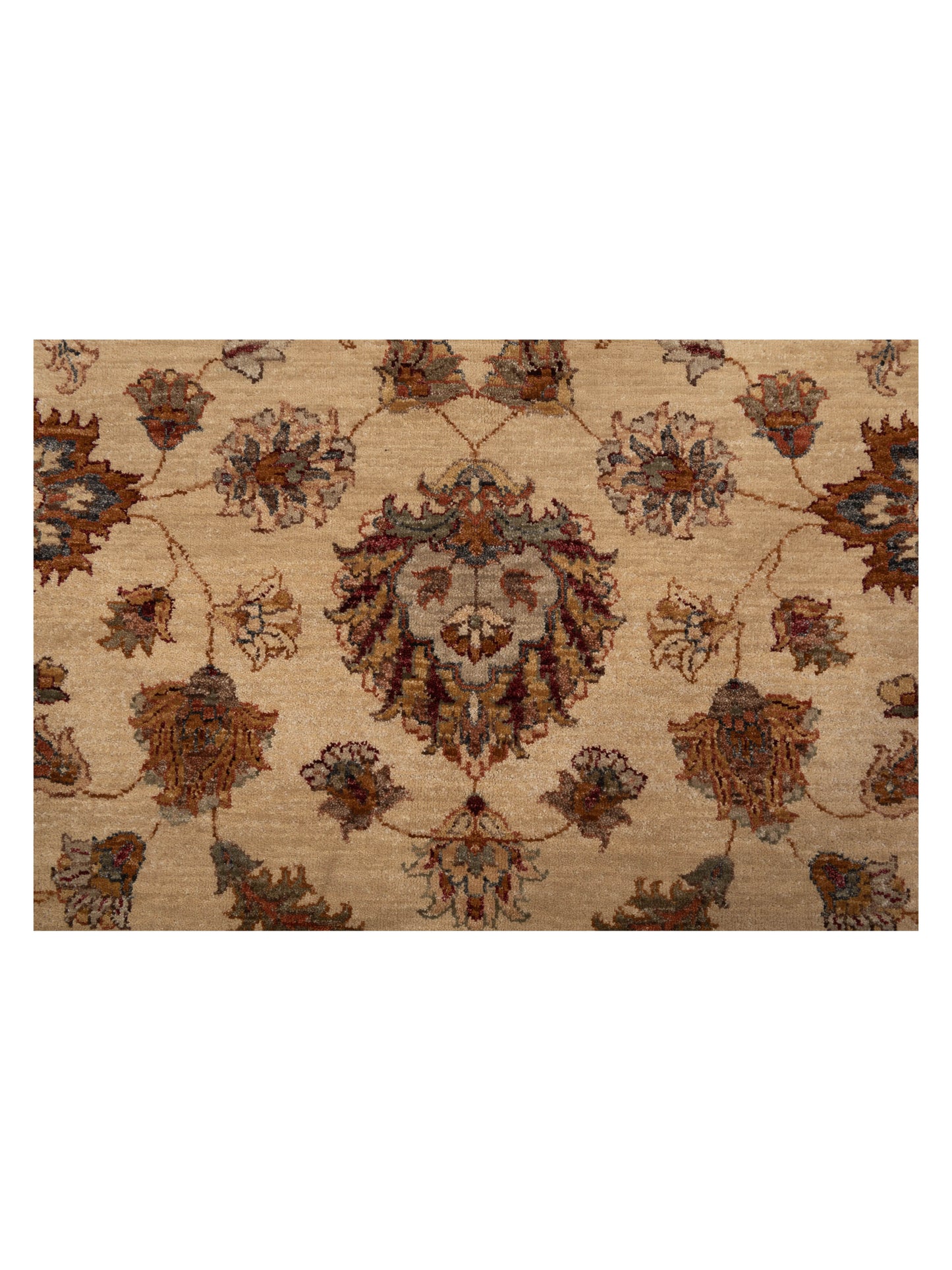 Ghazani 89585 Ivory Gold 6x9 Hand Knotted Rug