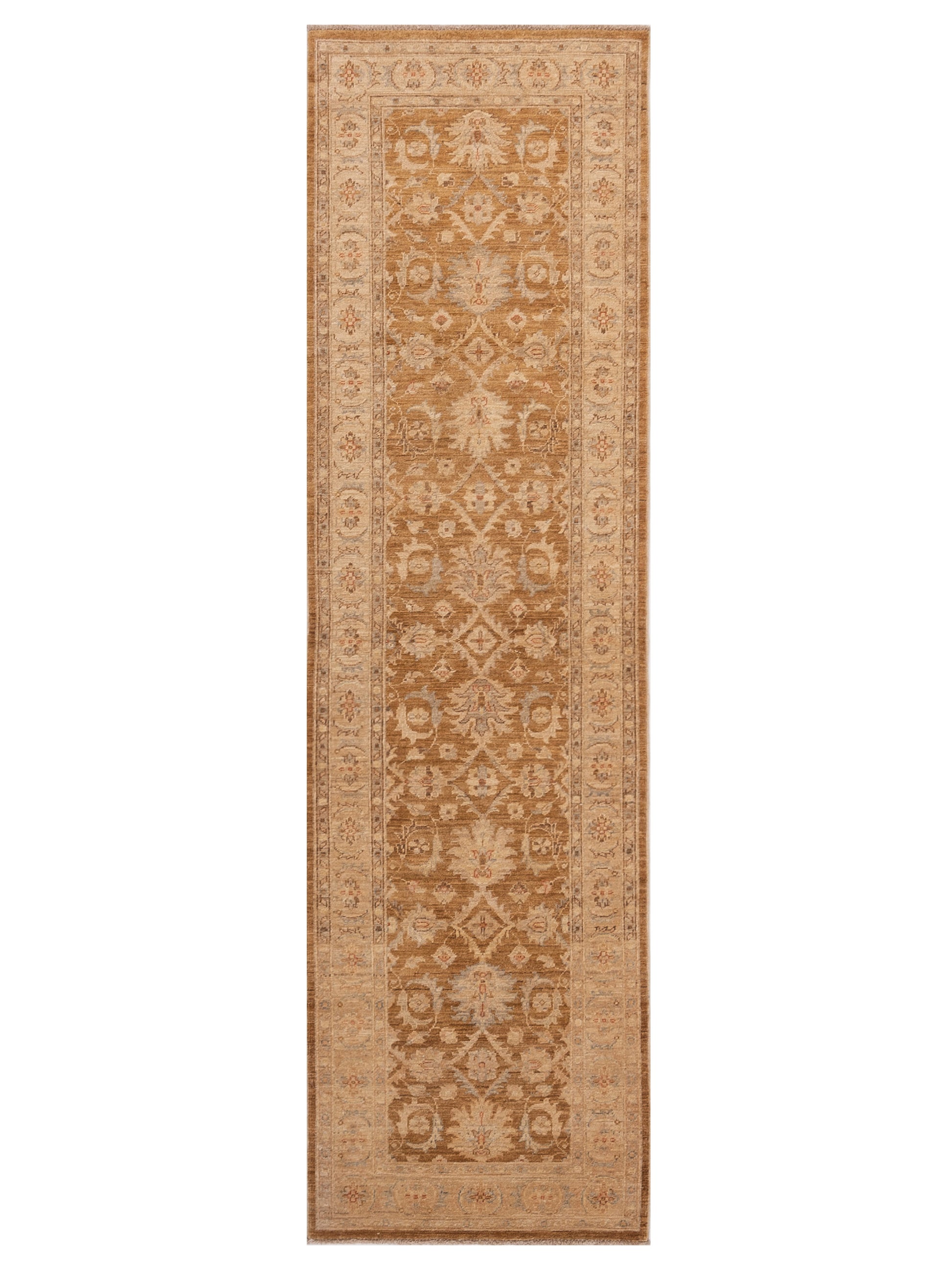 Pasha Sultan  Brown Gold Traditional