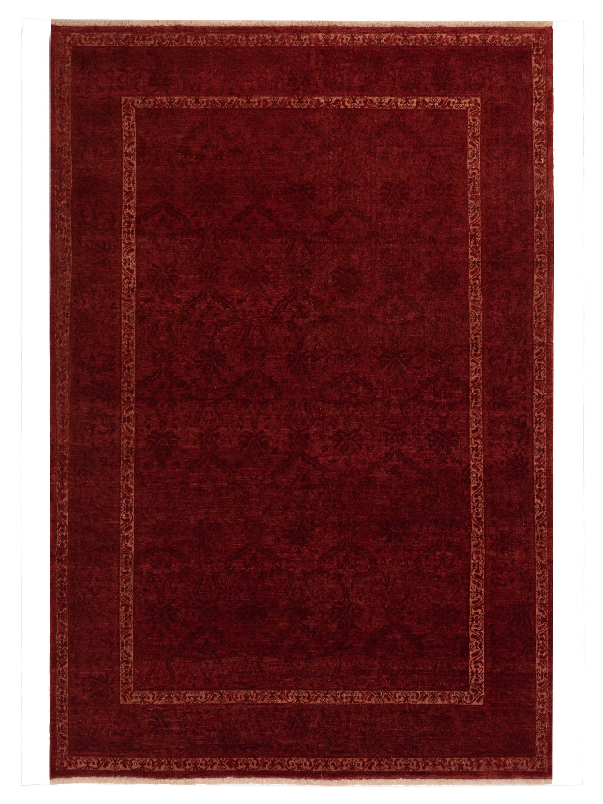 Pasha Defne  Red Red Transitional