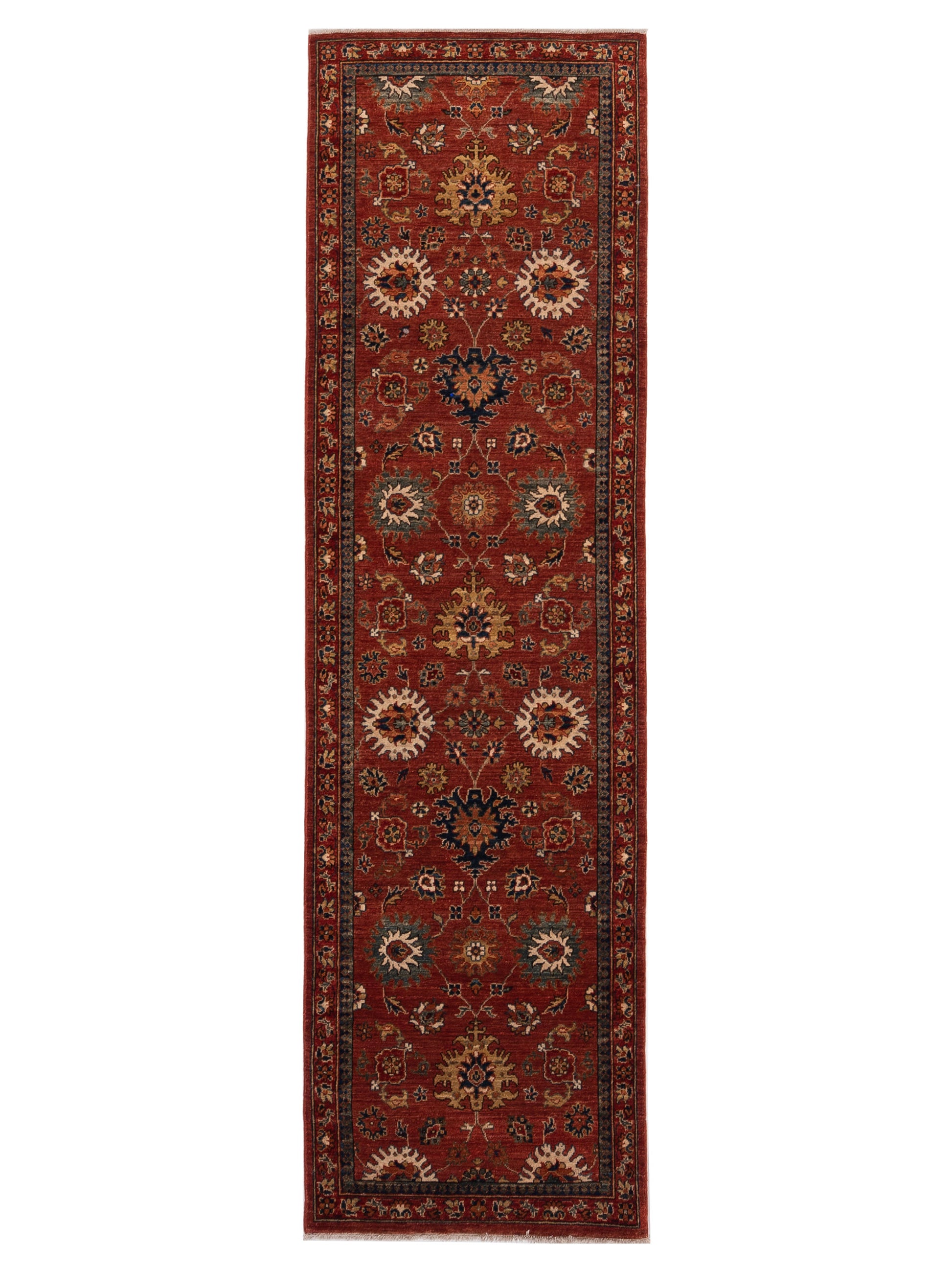 Nomad Akcha  Red Red Traditional
