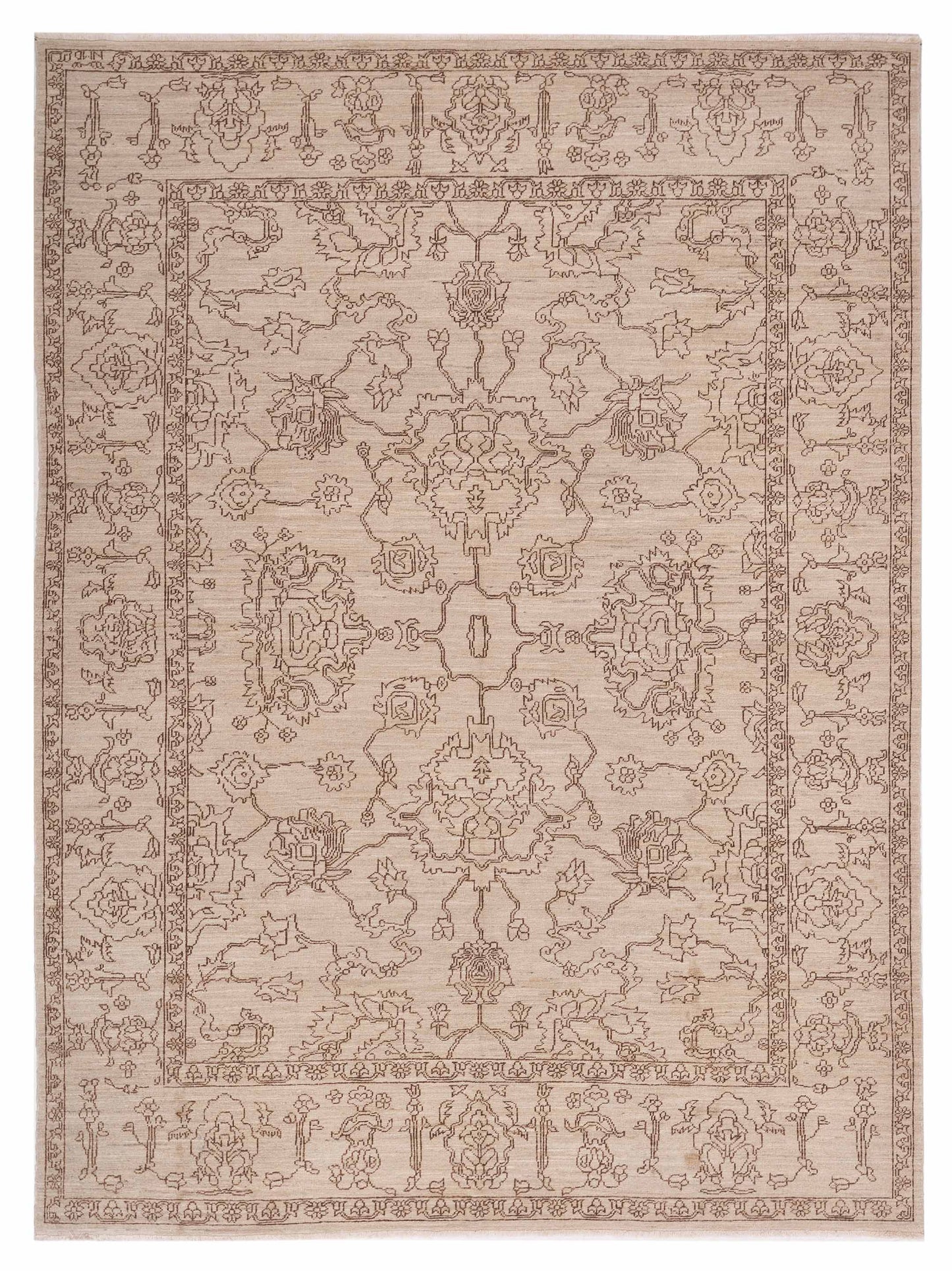 Pasha Defne  Ivory Brown Transitional