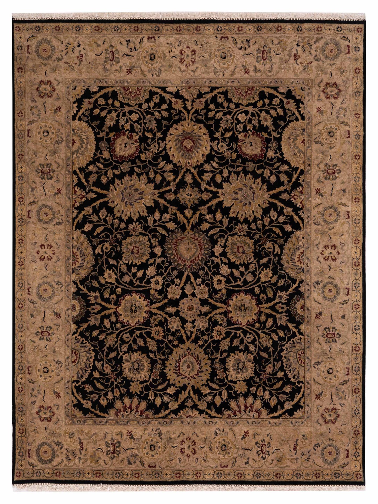 Rajpur Crown  Black Ivory Transitional