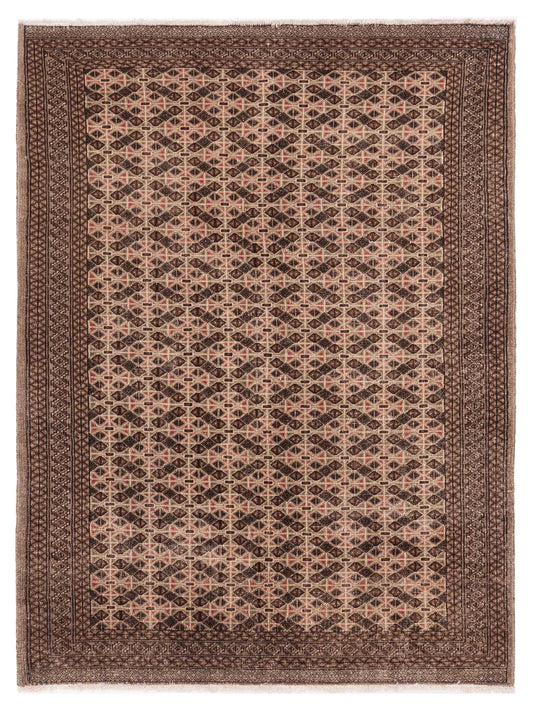 Pasha Persian  Ivory Brown Traditional