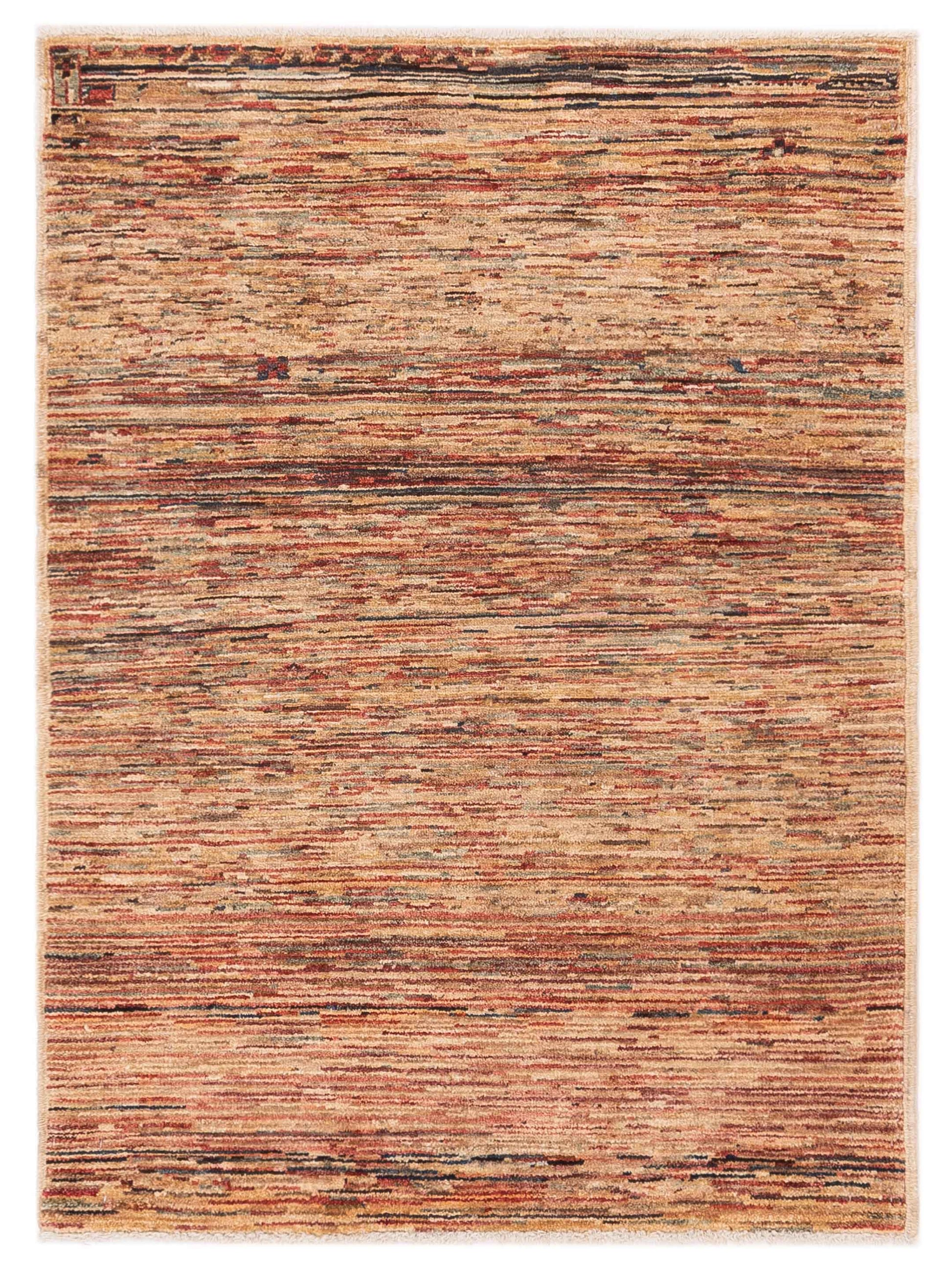 Rajpur Gabbeh  Multi  Contemporary