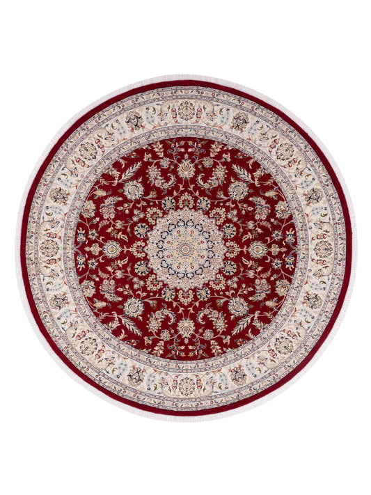 Rajpur Nain  Red Ivory Traditional