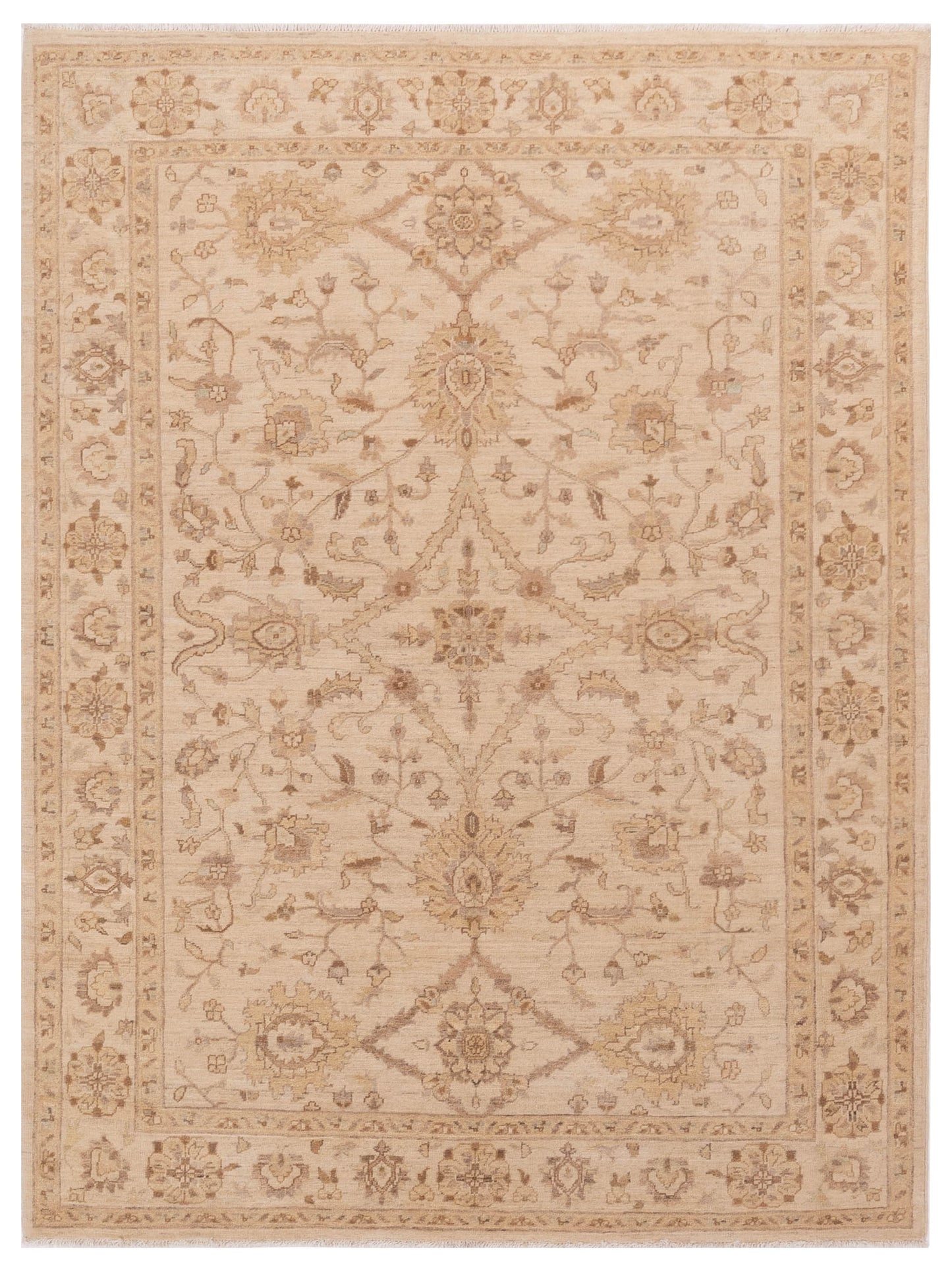 Nomad Laila  Ivory Ivory Transitional