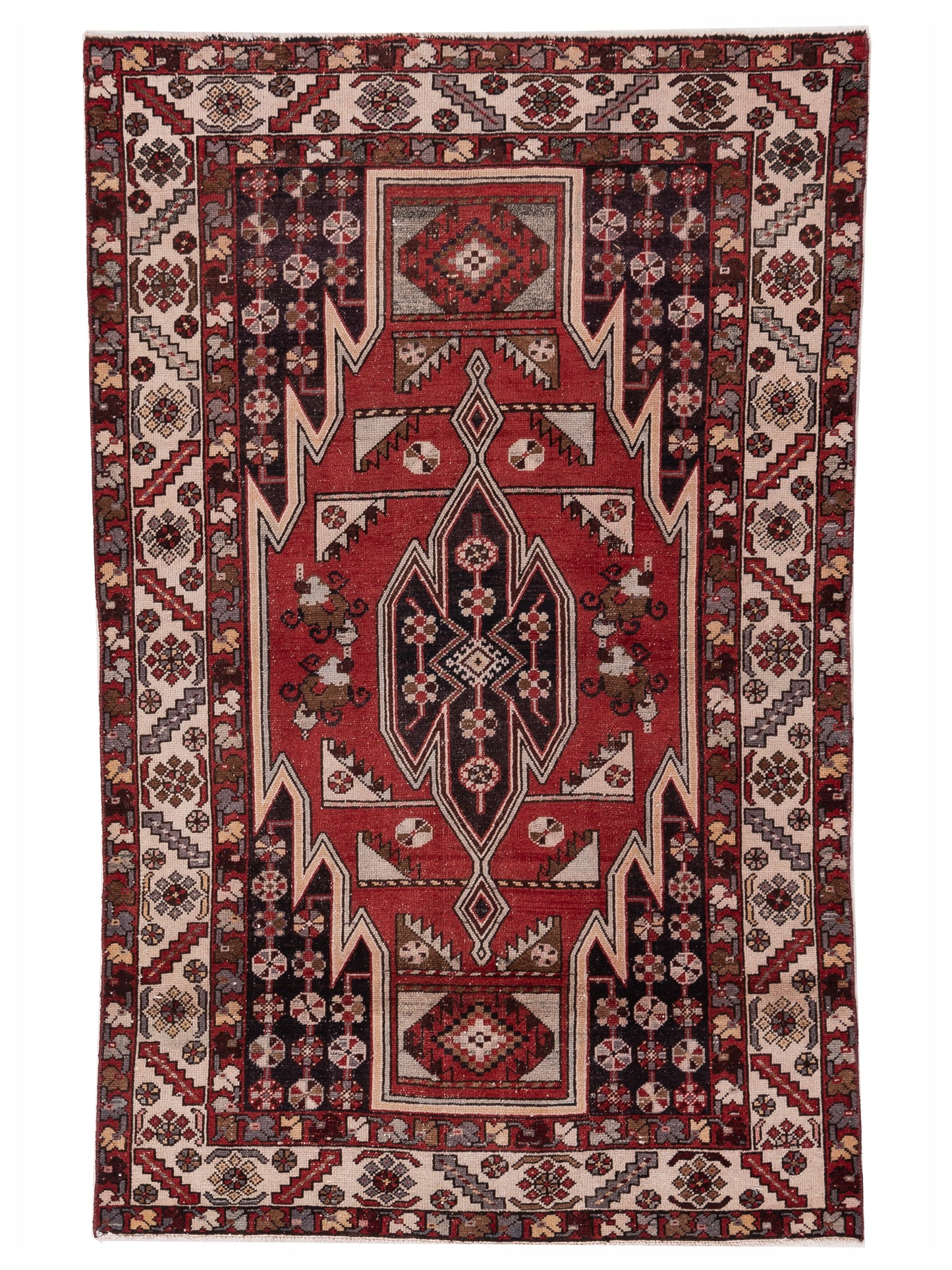 Pasha Persian  Red Ivory Transitional