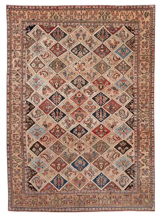 Pasha Persian  Multi Multi Traditional