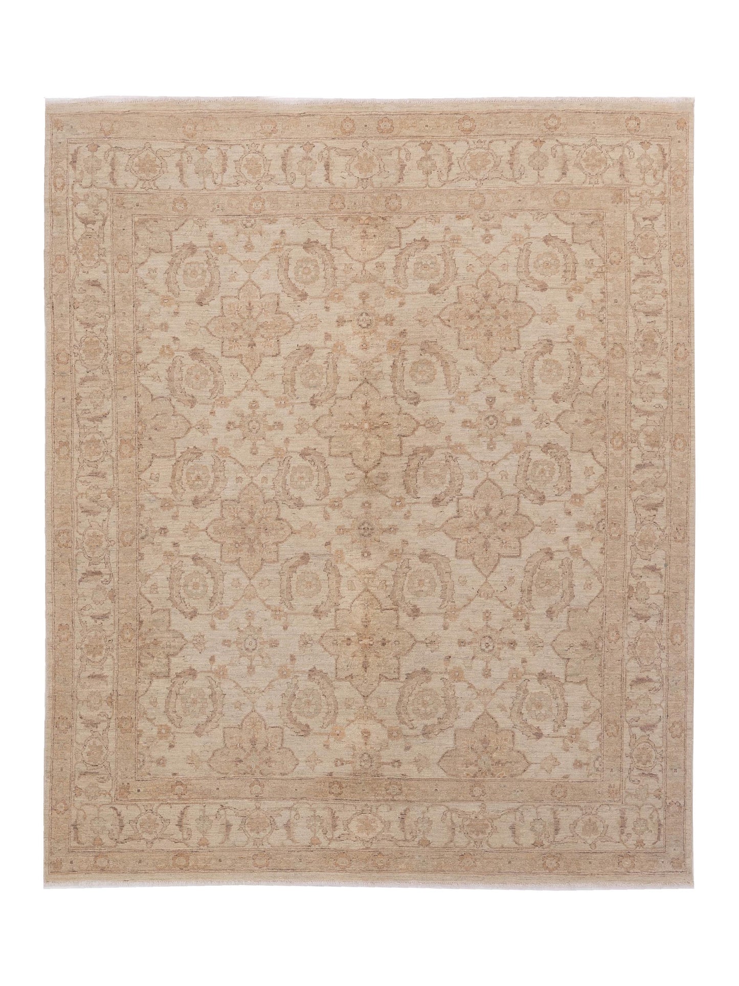 Nomad Laila  Ivory Ivory Transitional