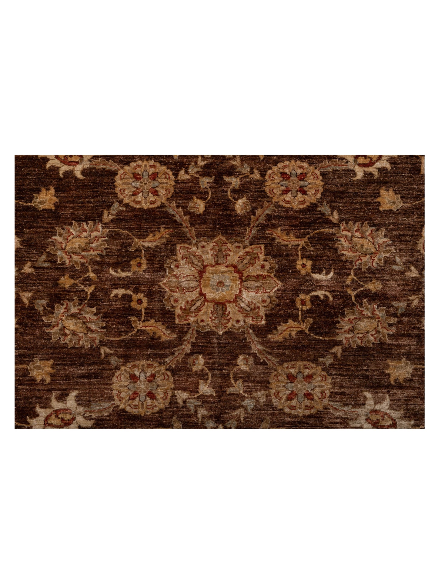 Sultan 96892 Chocolate Ivory 13.10x18.5 Hand Knotted Rug