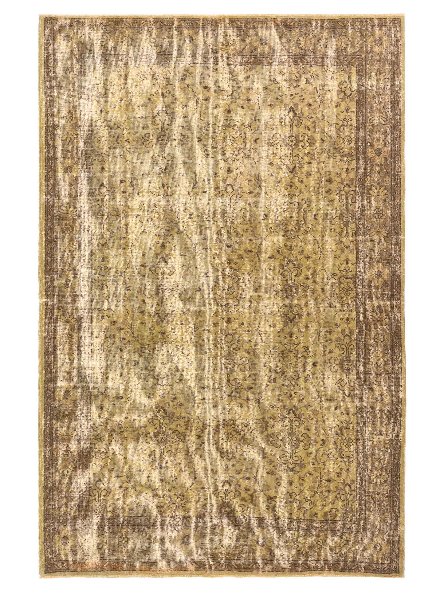 Pasha Vintage  Green  Transitional