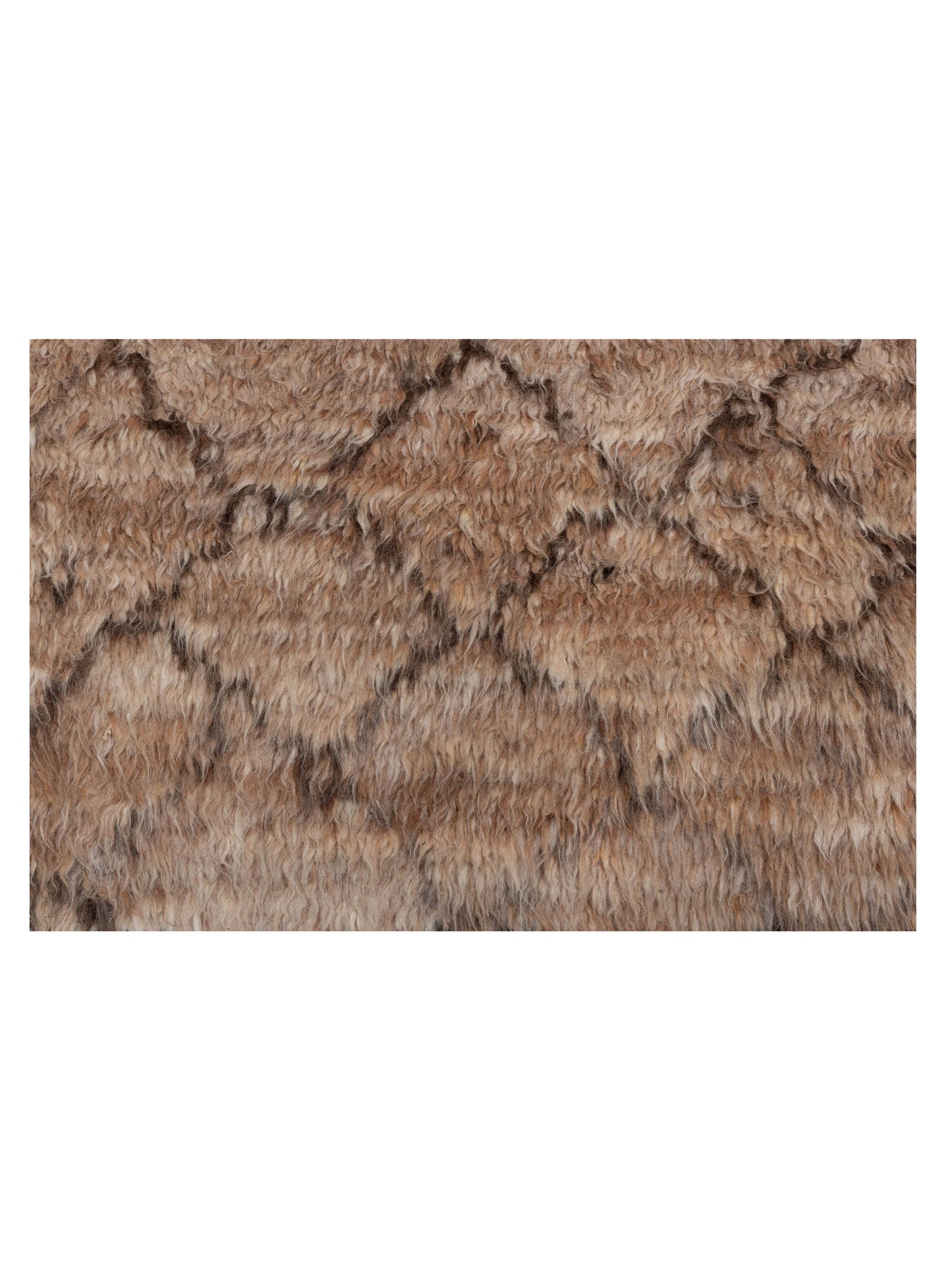 Berber Kaunas Brown Dark Brown 8.10x11 Hand Knotted Rug