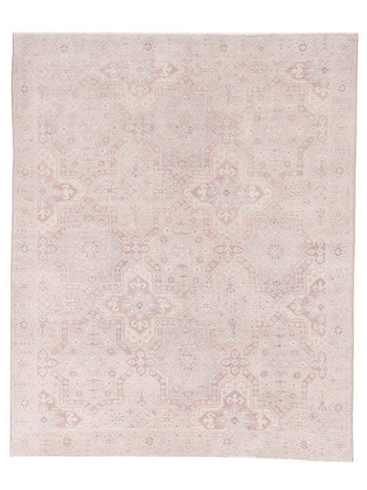 Rajpur Andalusia  Brown  Transitional