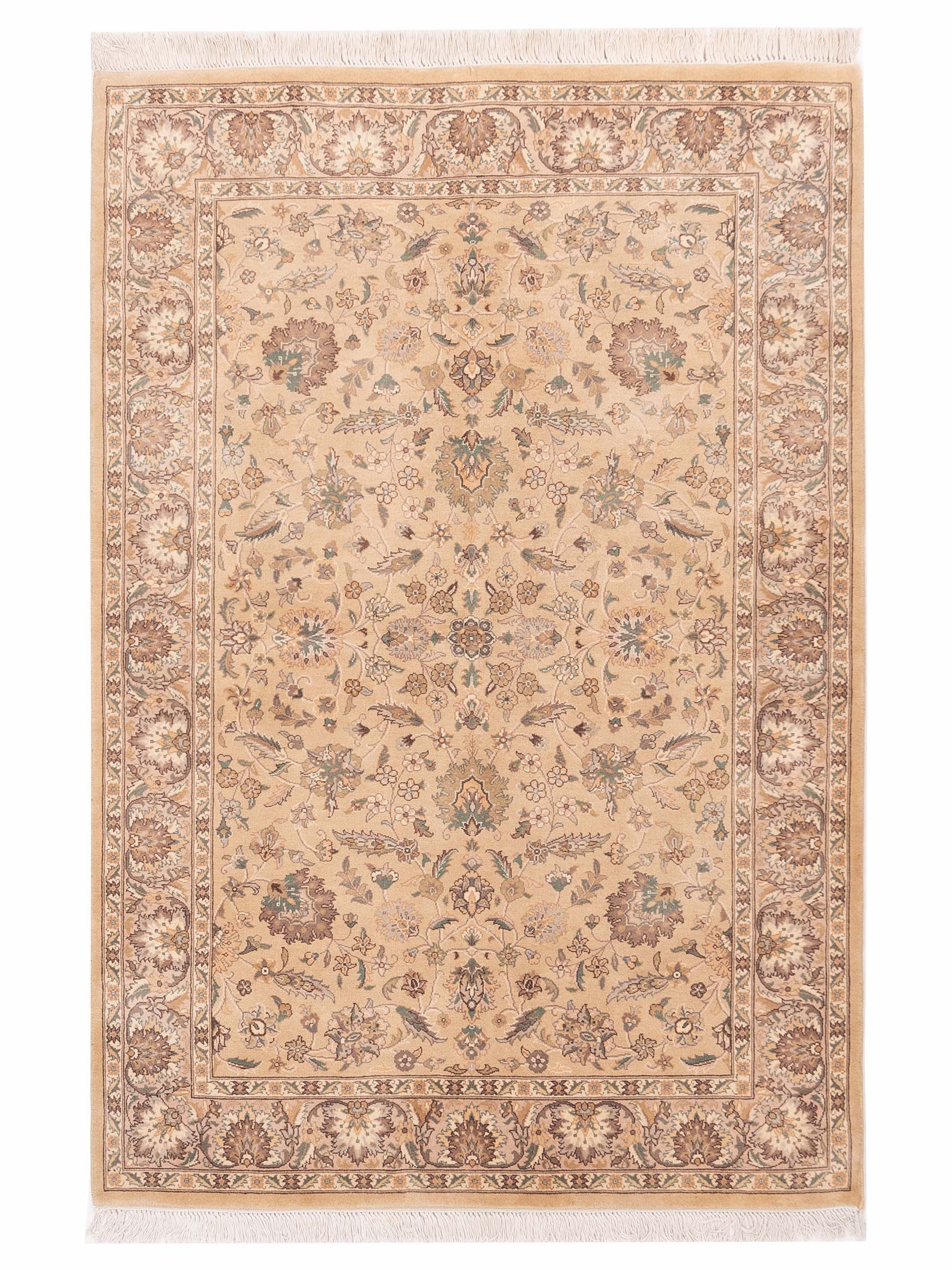 Rajpur Haji Jalili  Cream  Transitional