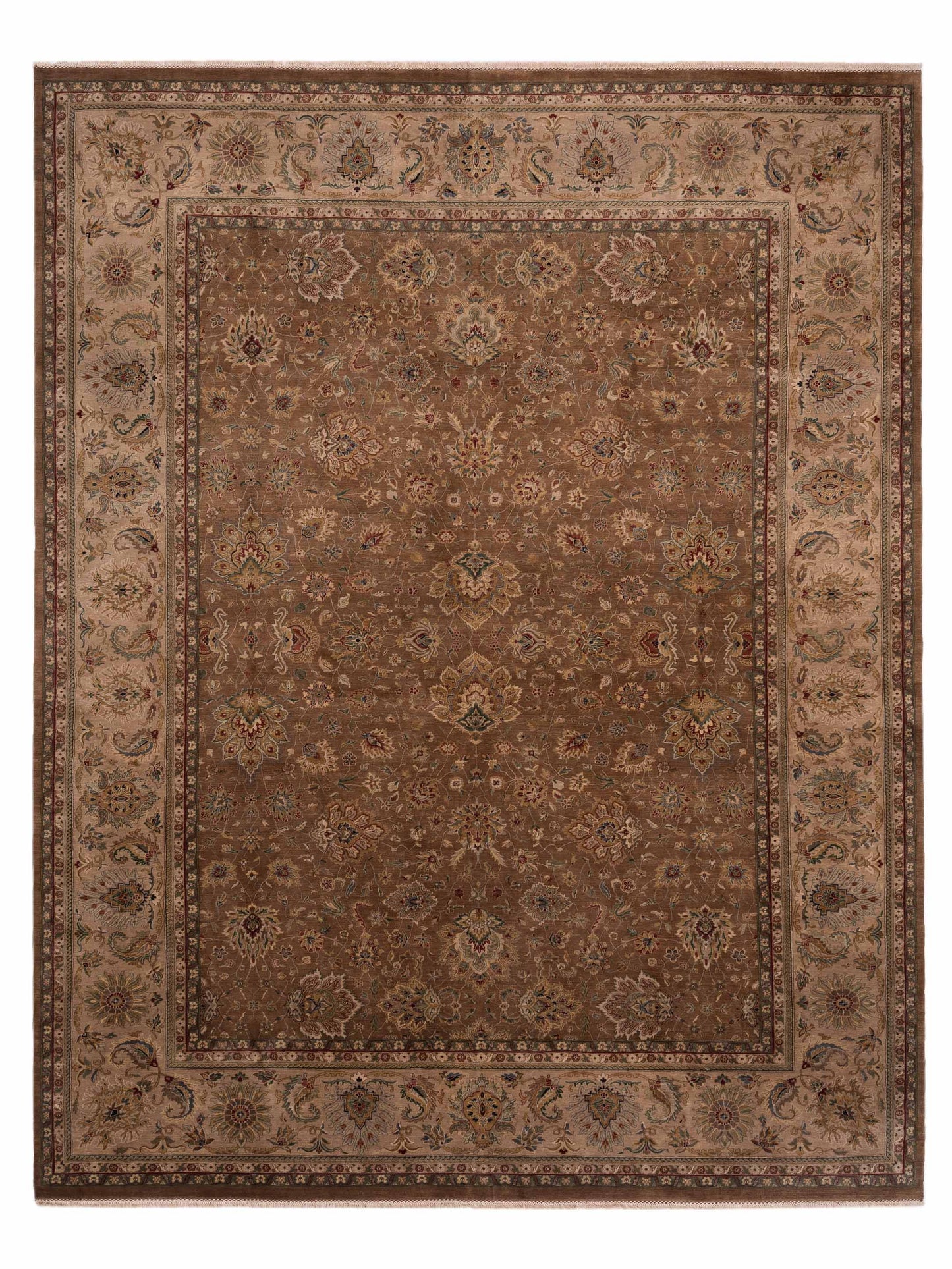 Rajpur Crown  Black Ivory Transitional