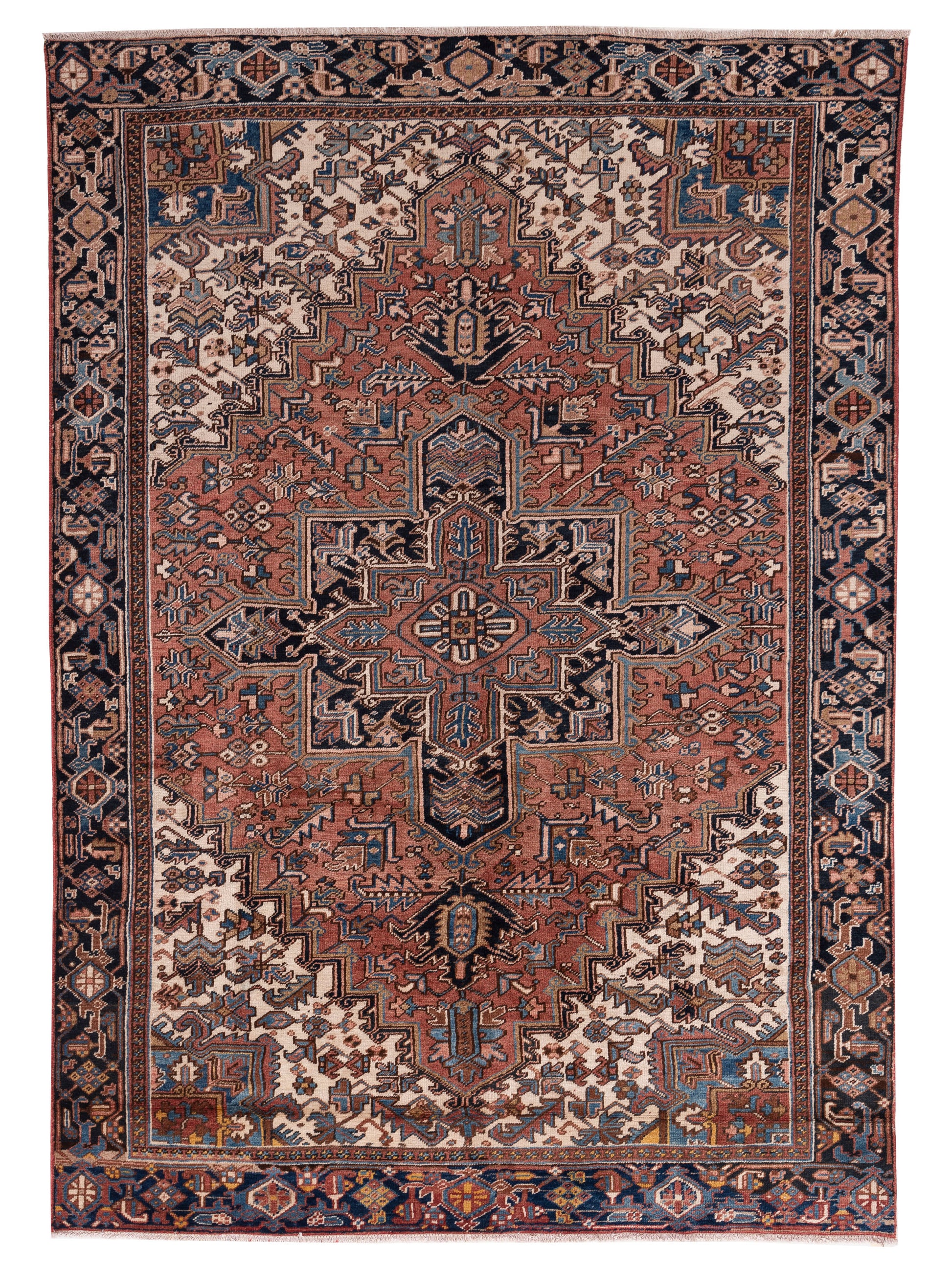 Pasha Persian  Brown Navy Traditional