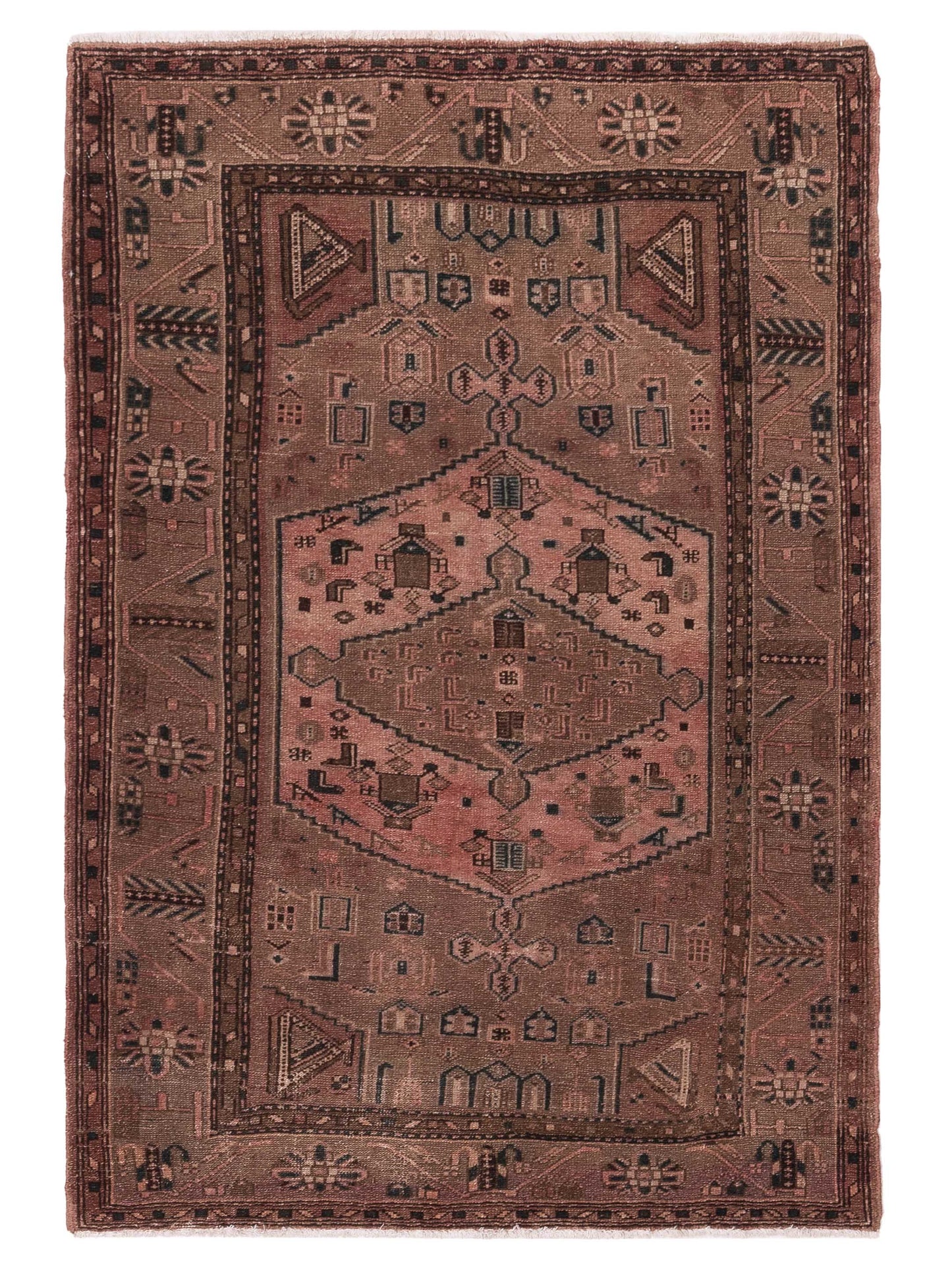 Pasha Persian  Brown Brown Traditional