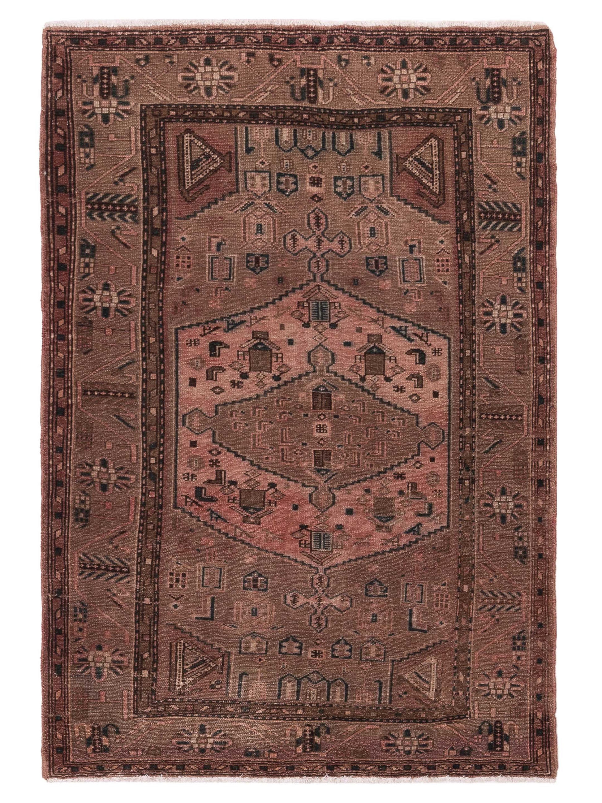 Pasha Persian  Brown Brown Traditional