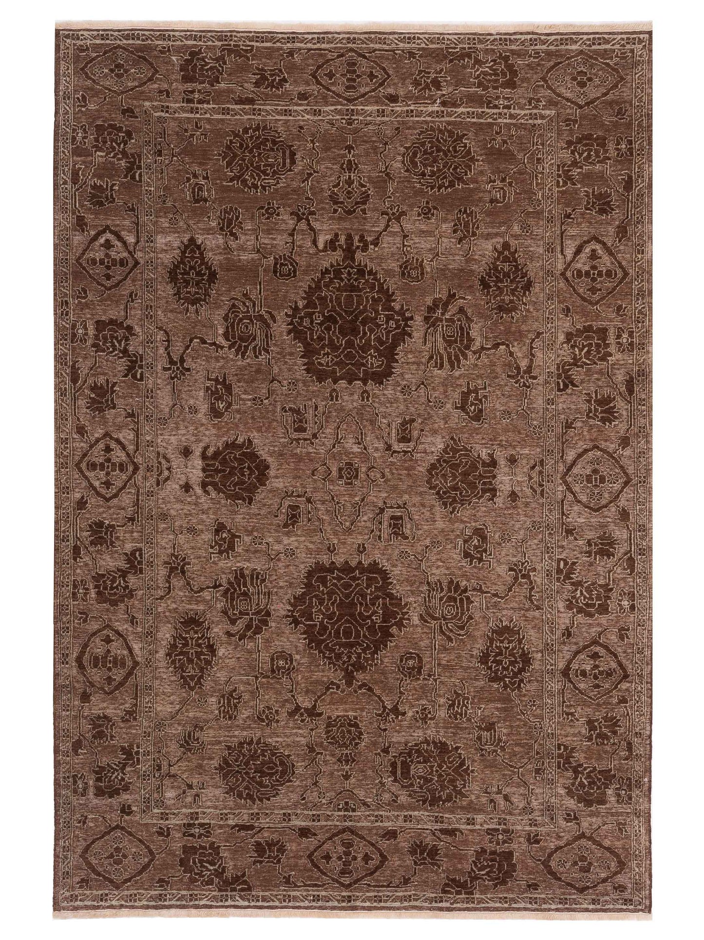 Pasha Defne  Brown Ice Blue Transitional