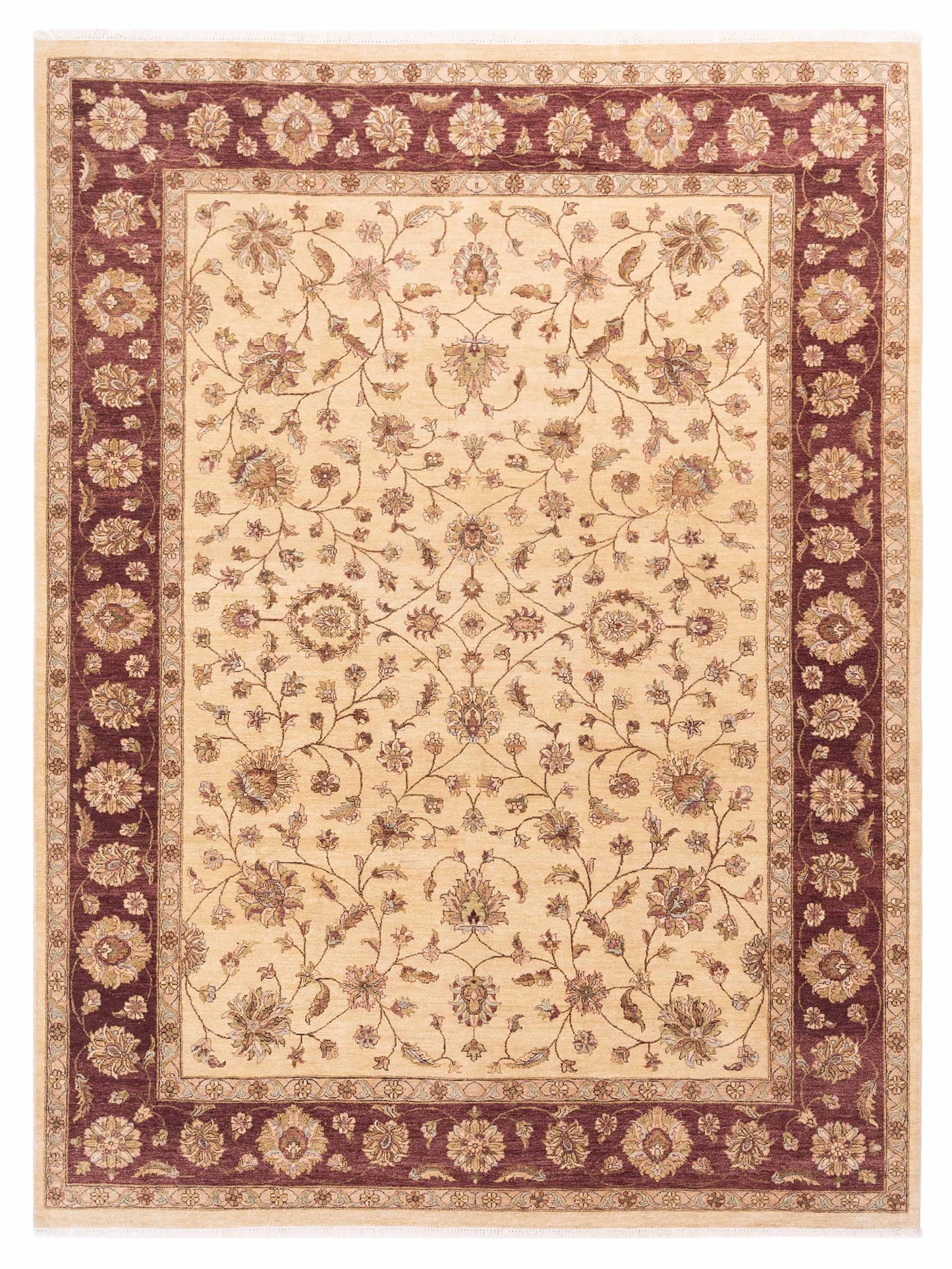 Rajpur Royal  Ivory Red Traditional