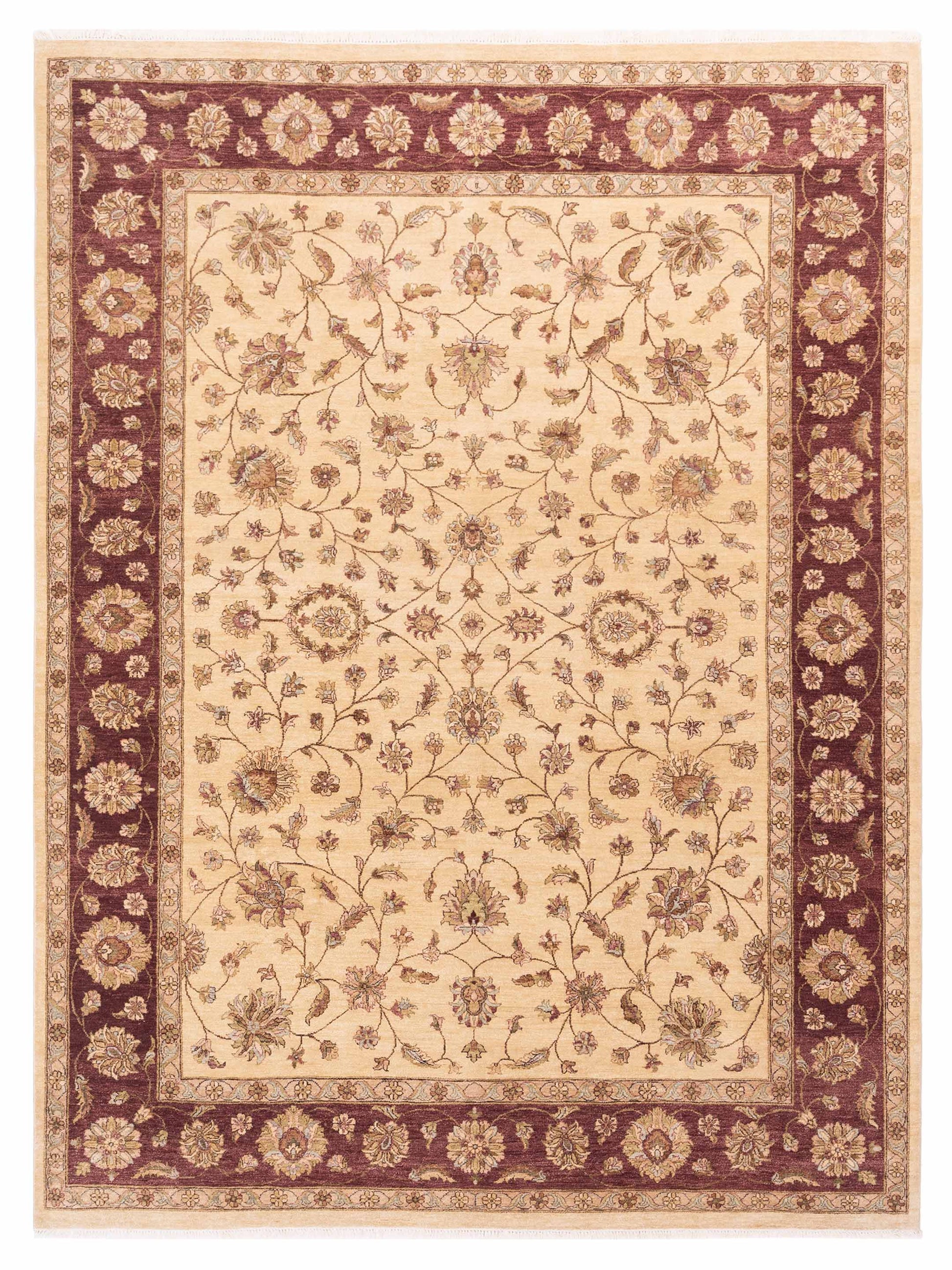 Rajpur Royal  Ivory Red Traditional