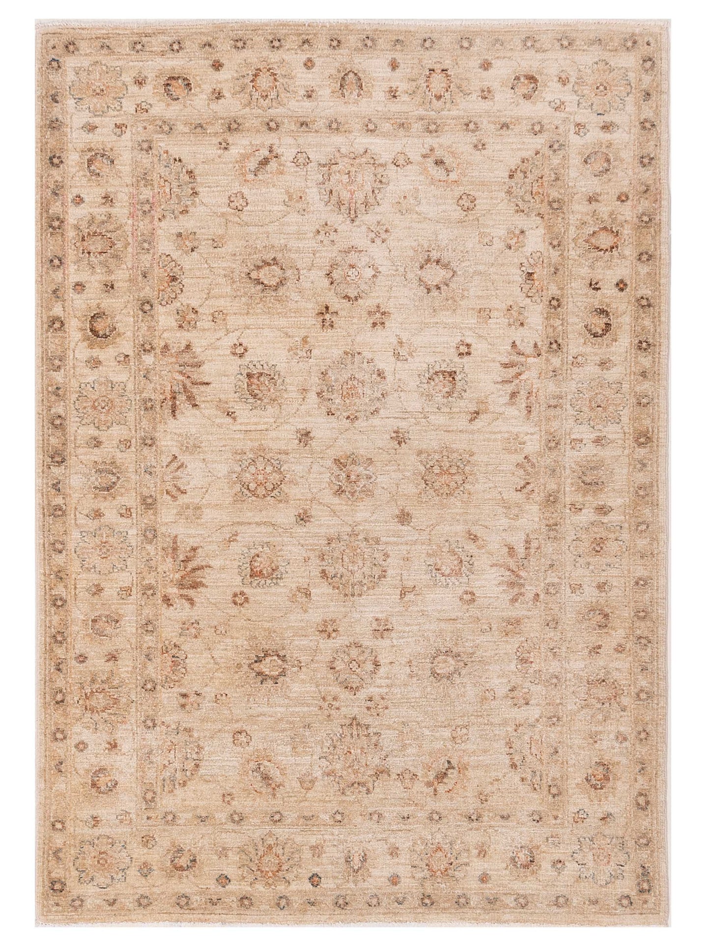 Pasha Sultan  Ivory Ivory Traditional