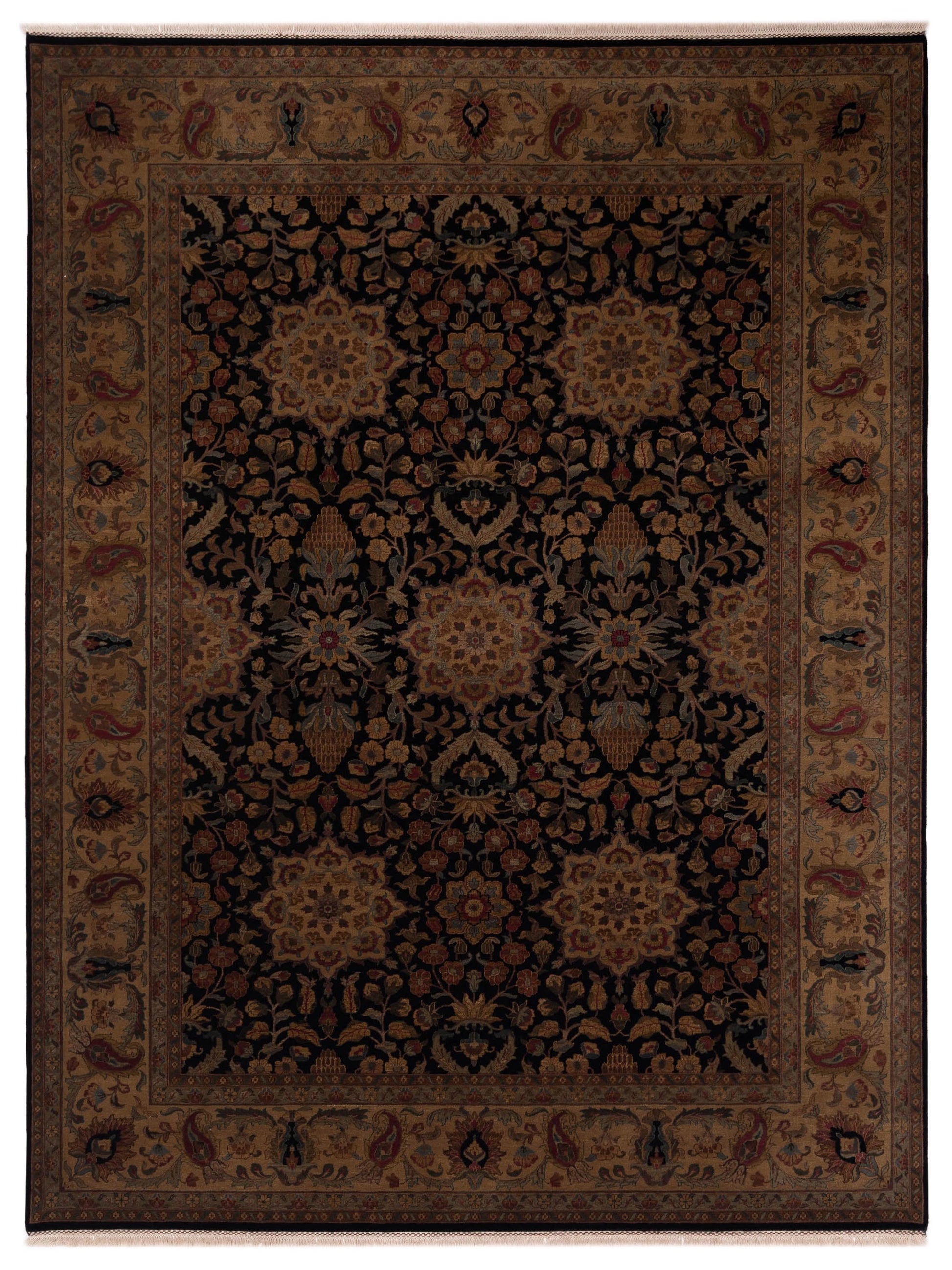 Rajpur Crown  Black Gold Transitional