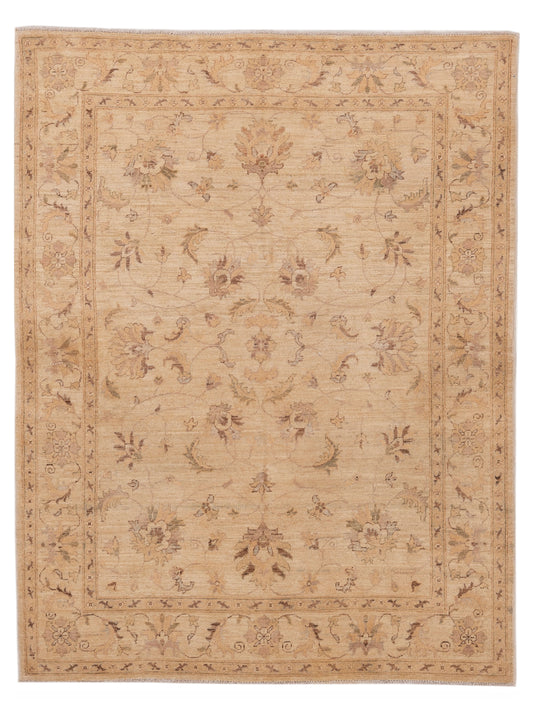 Pasha Sultan  Ivory Ivory Traditional