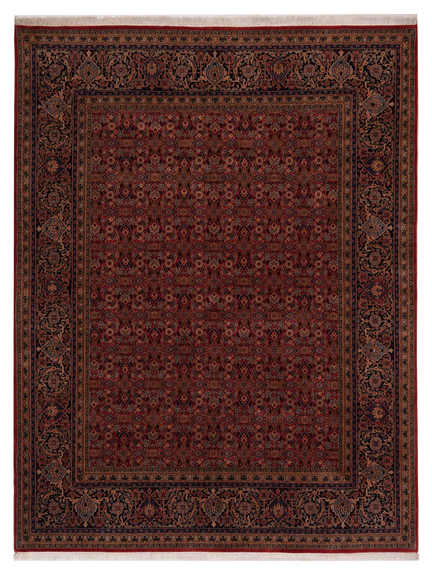 Rajpur Sivas  Orange Navy Traditional