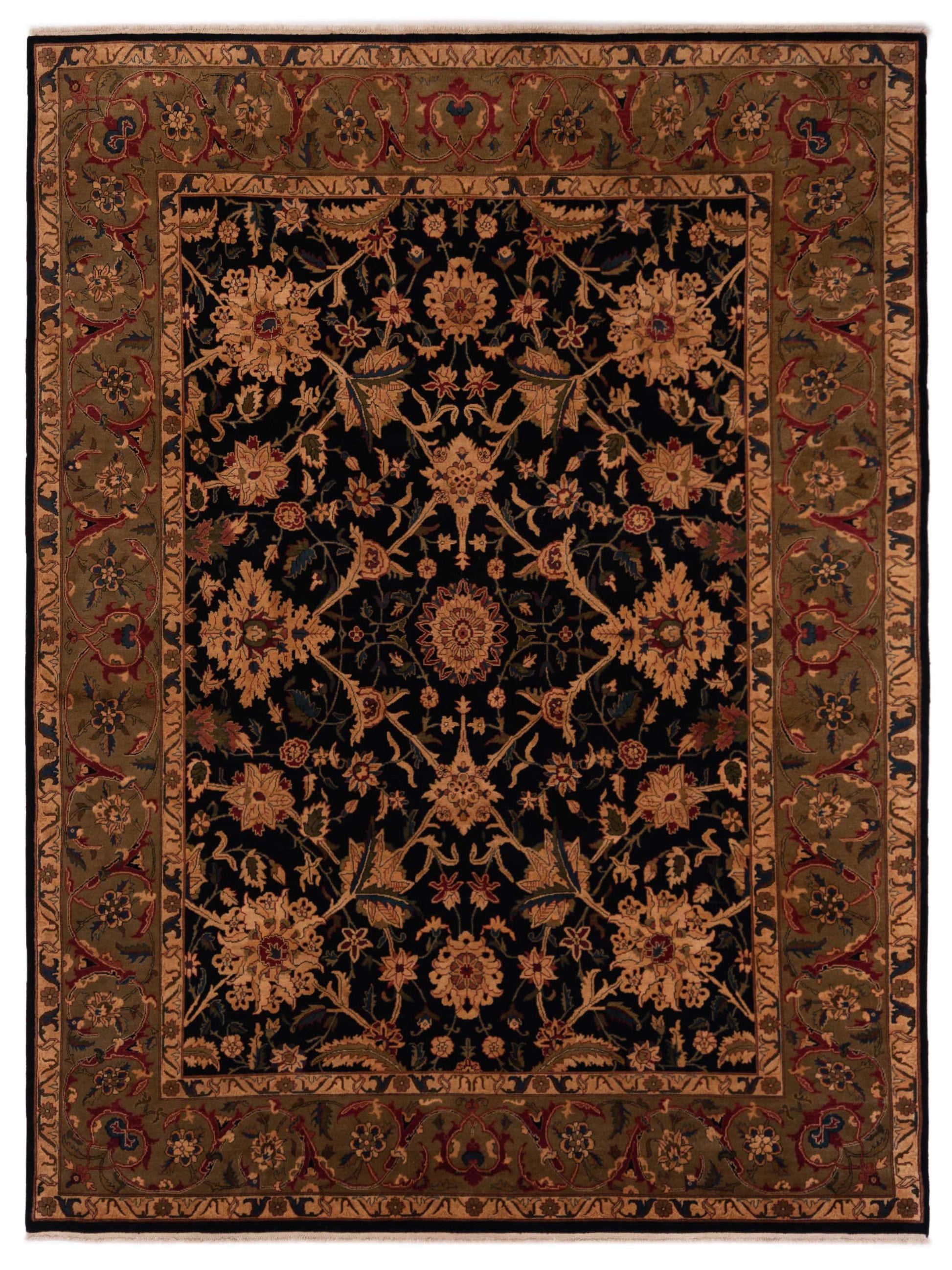 Rajpur Jahan  Black Olive Traditional