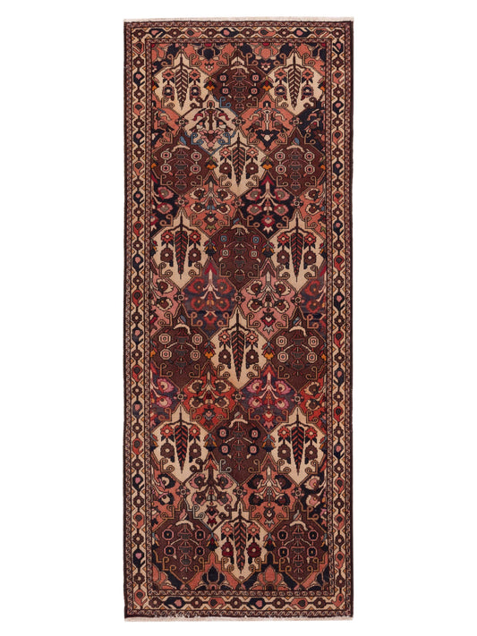 Pasha Persian  Multi  Transitional